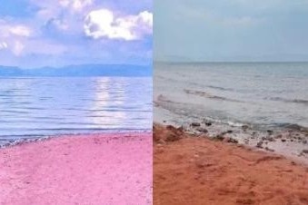 Anh chinh sua qua da danh lua khach du lich hinh anh