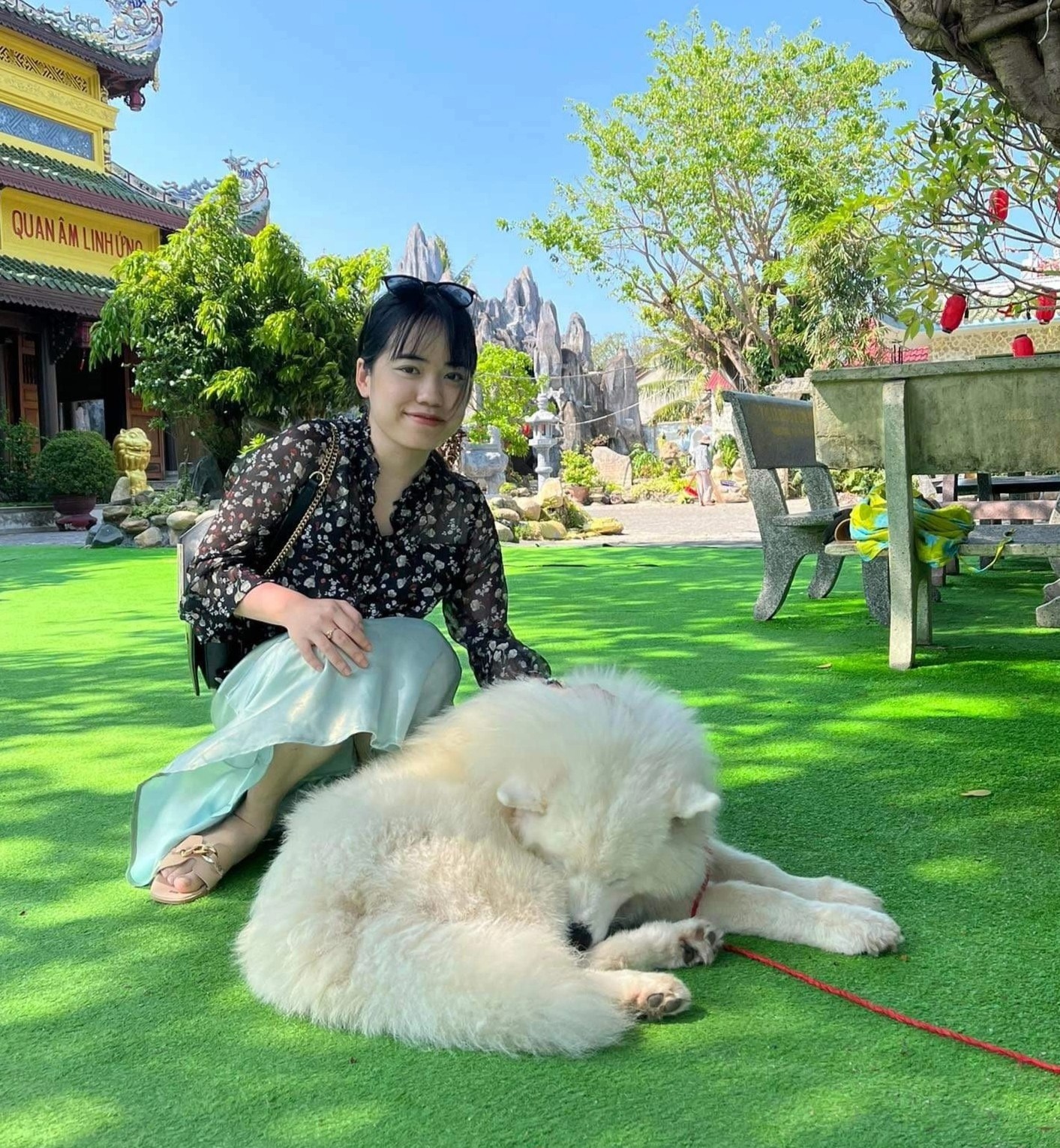 cai nhau vi hang xom de cho chay rong anh 1