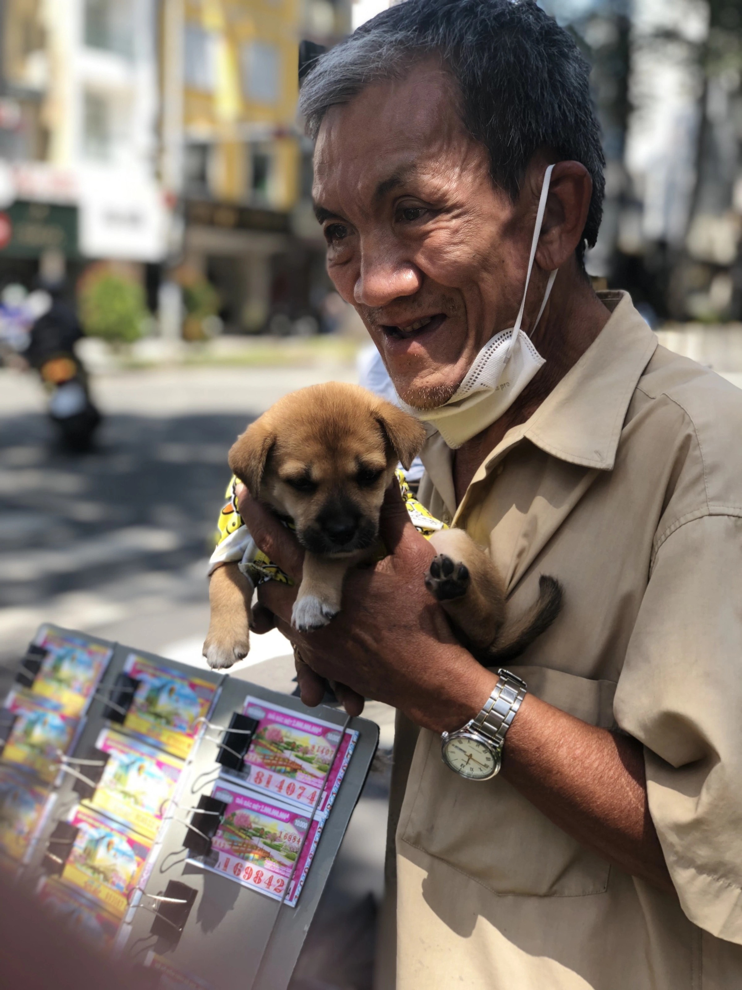 tranh cai nguoi yeu va ghet cho meo anh 4