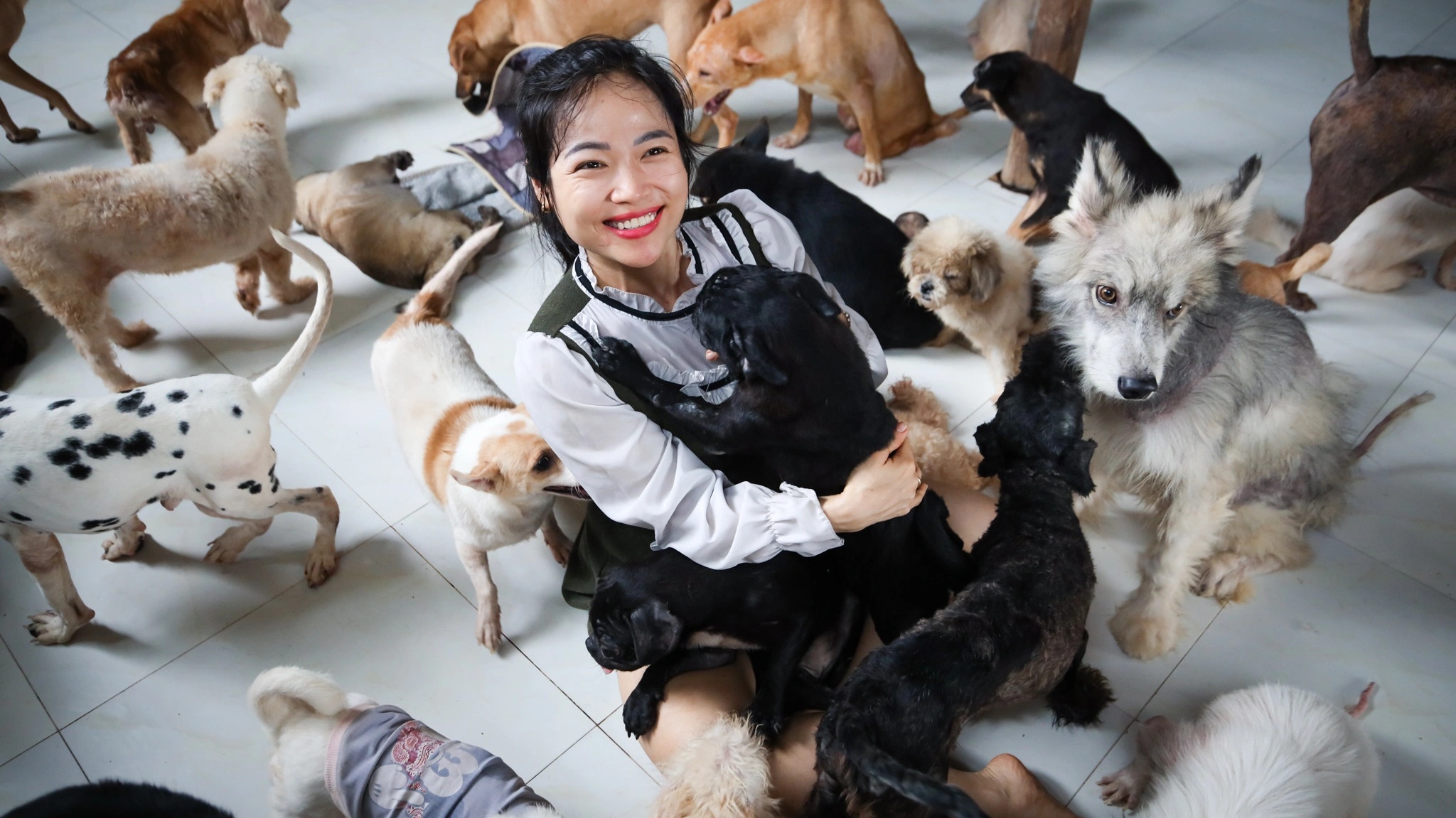 tranh cai nguoi yeu va ghet cho meo anh 3