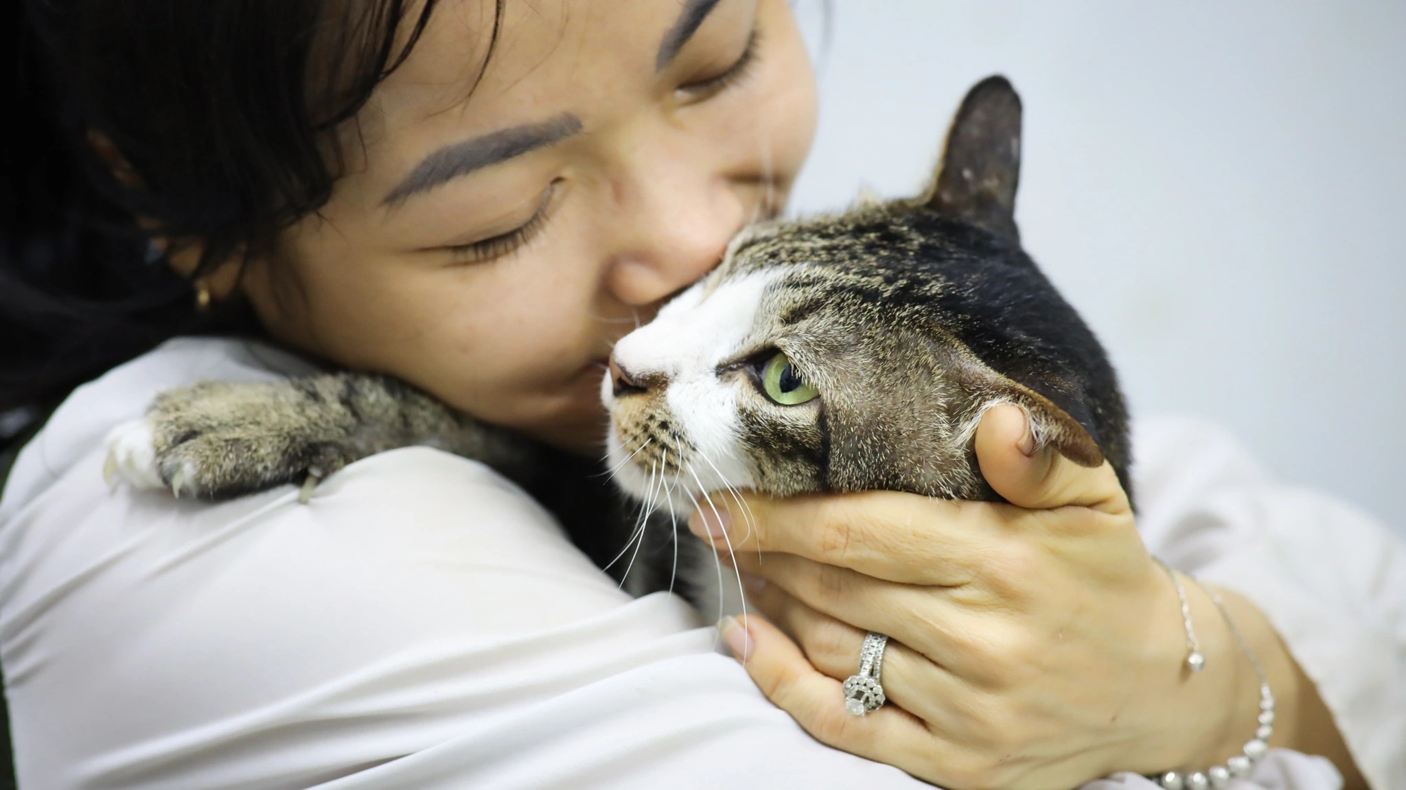 tranh cai nguoi yeu va ghet cho meo anh 1