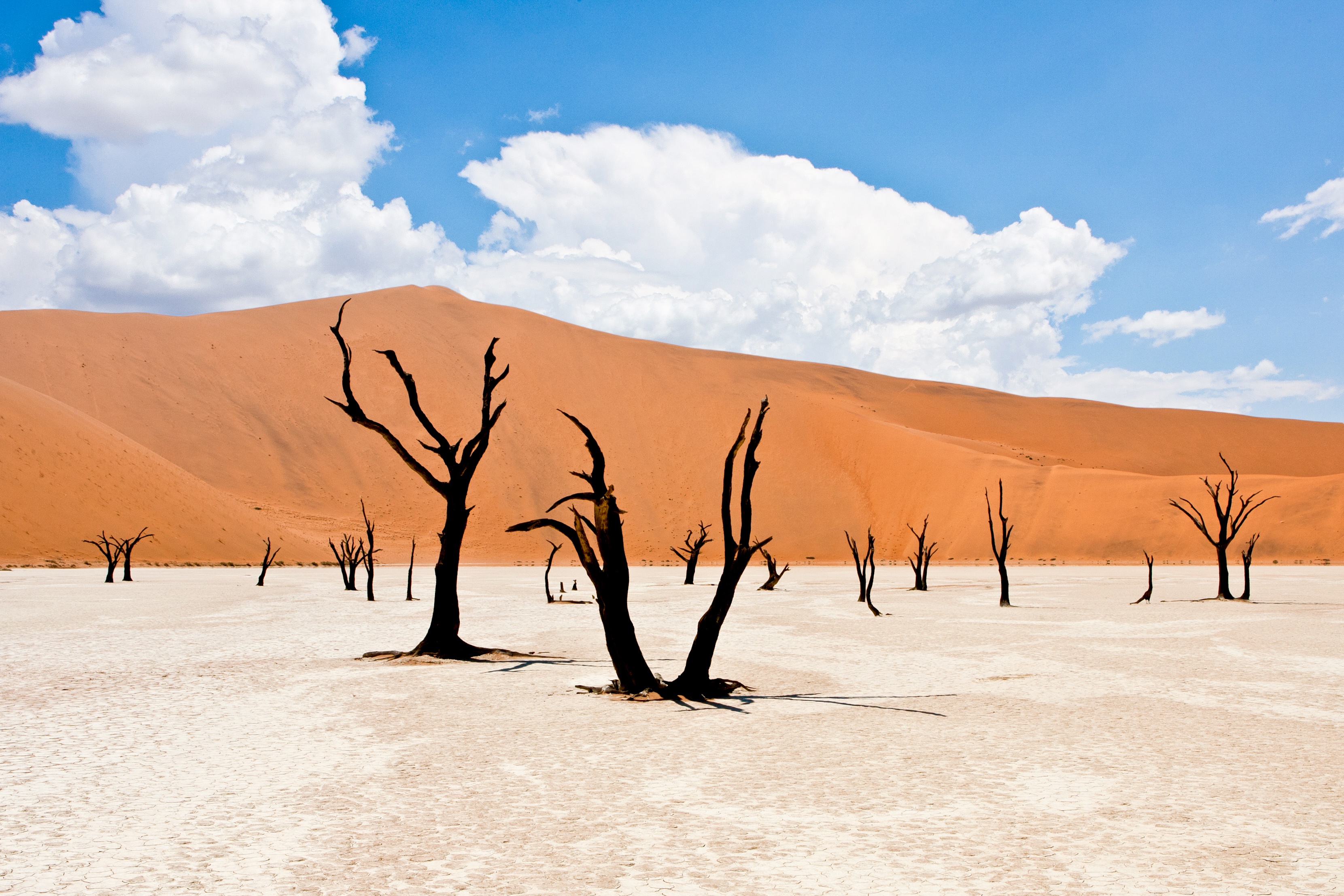 cuoc phieu luu xa xi anh 2