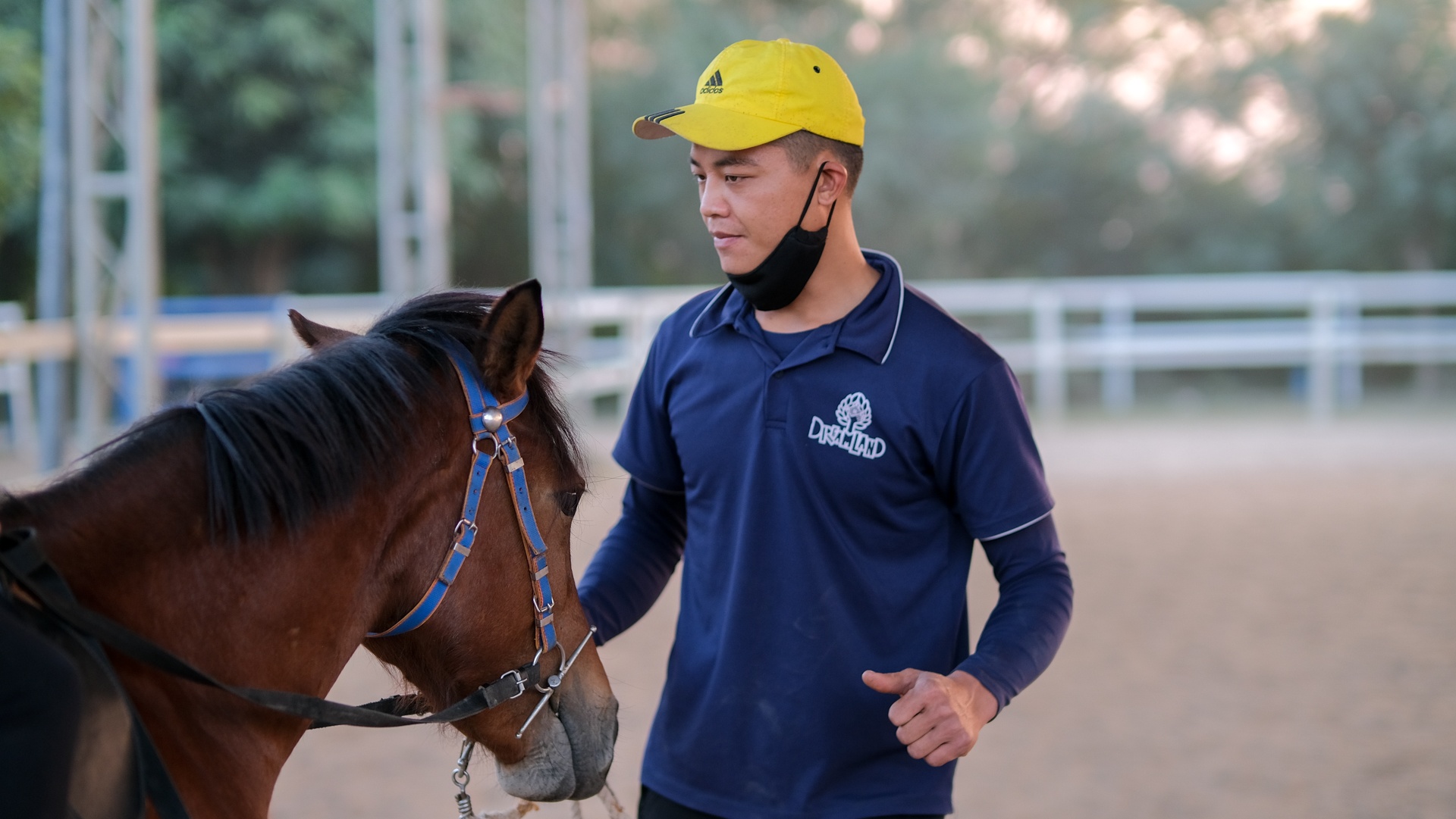 huấn luyện viên dạy cưỡi ngựa ảnh 19 huan luyen vien day cuoi ngua anh 19