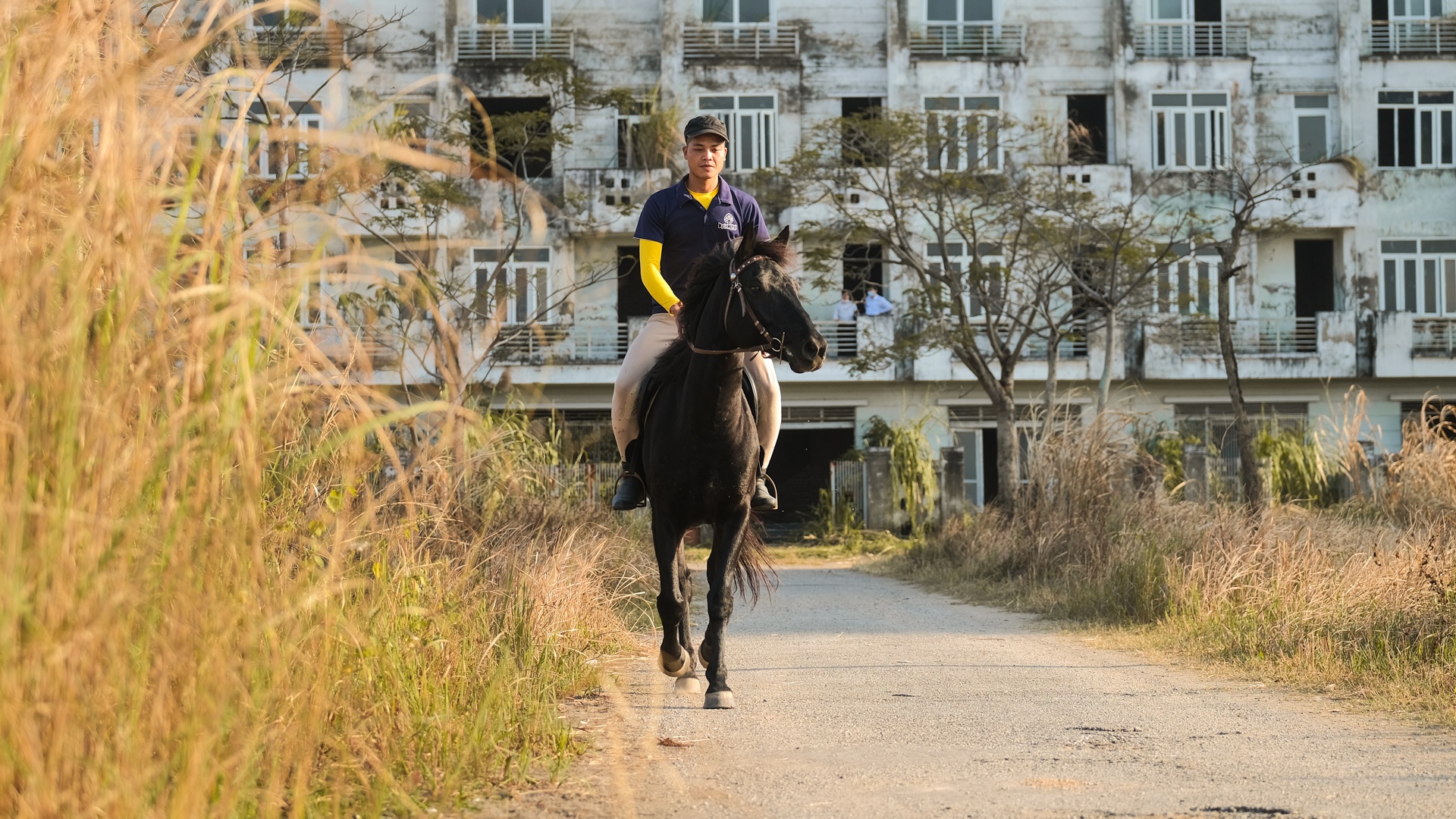 huấn luyện viên dạy cưỡi ngựa ảnh 1 huan luyen vien day cuoi ngua anh 1