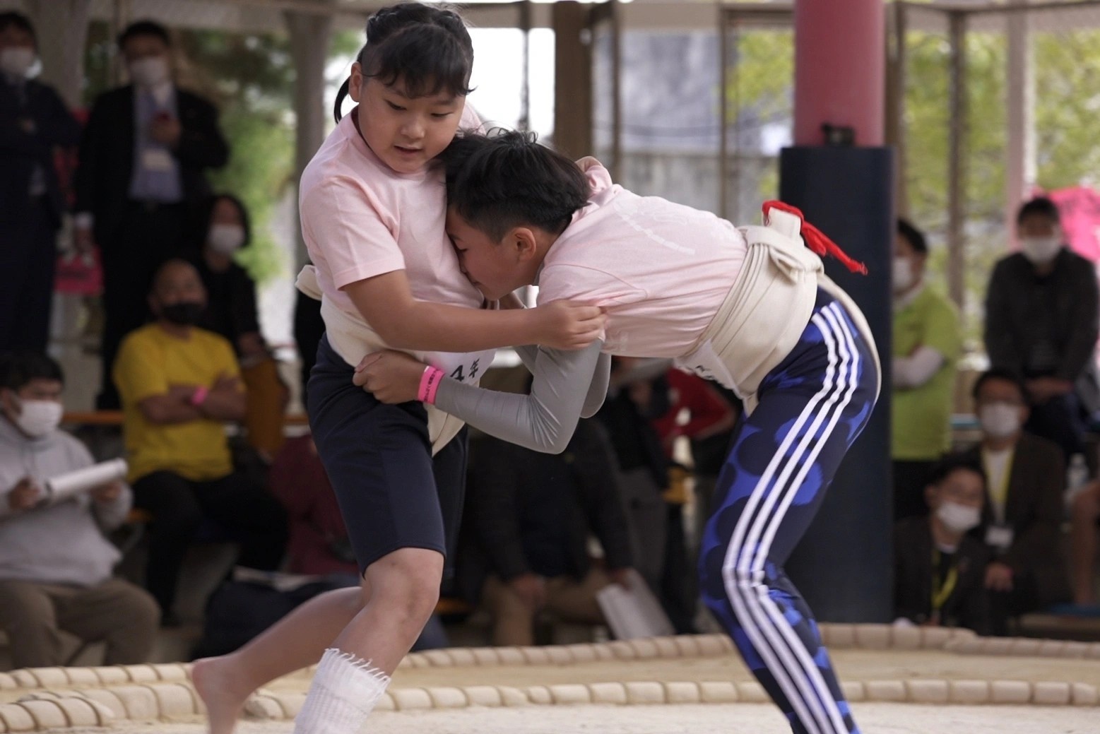 Nam gioi khong con thong tri sumo hinh anh