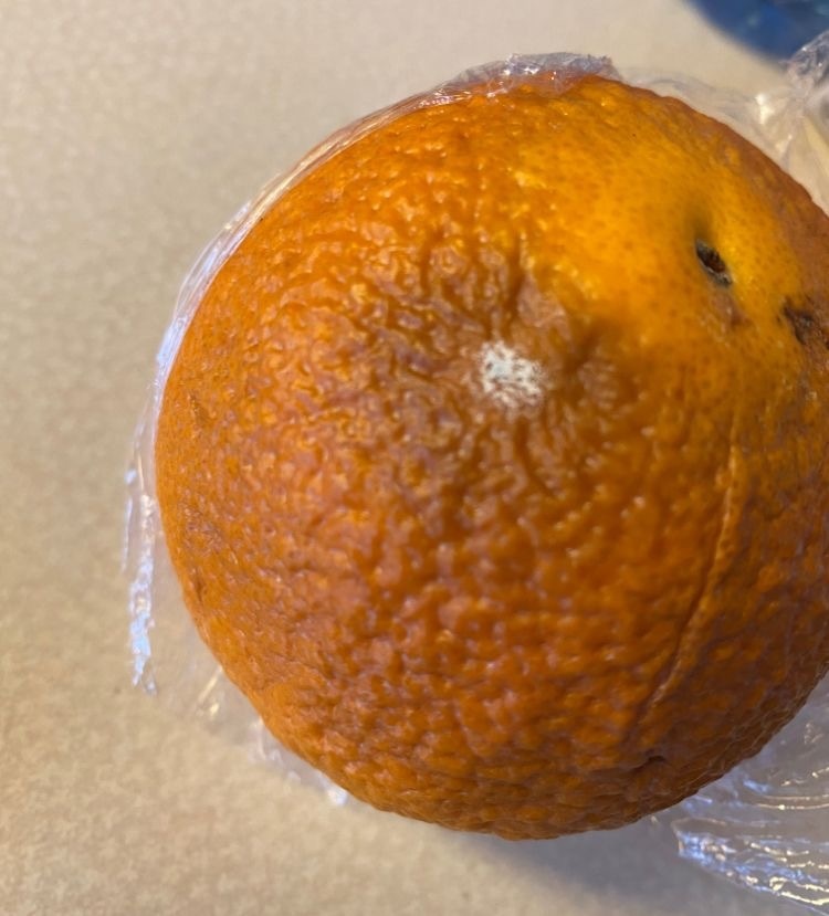 bua an cach ly thieu thon tren du thuyen hang sang o My anh 2