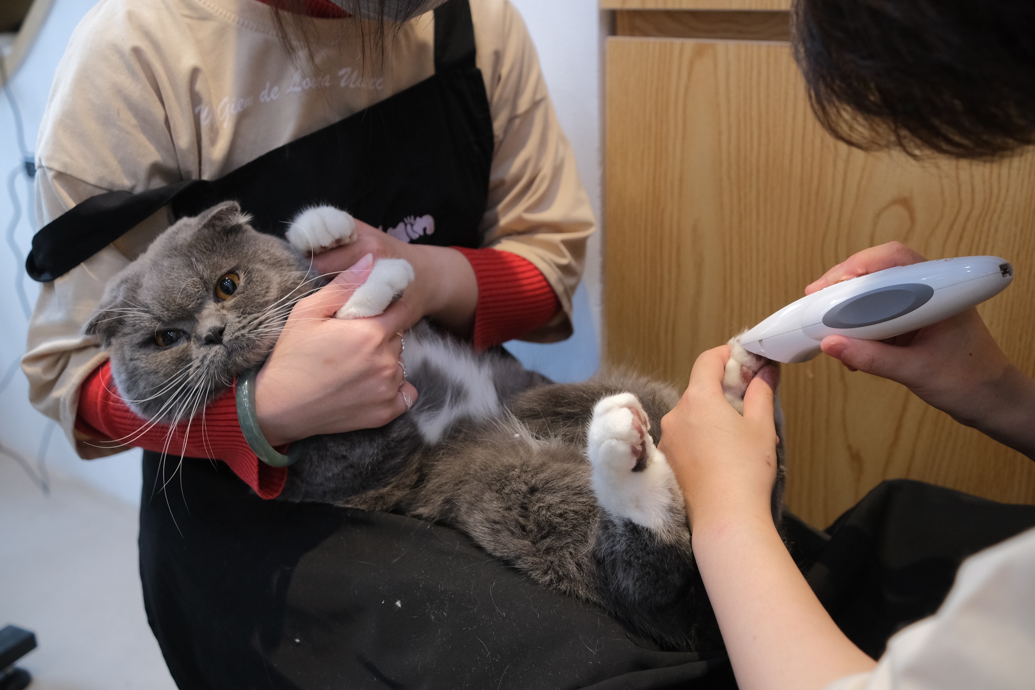 spa thu cung kin lich truoc Tet anh 11