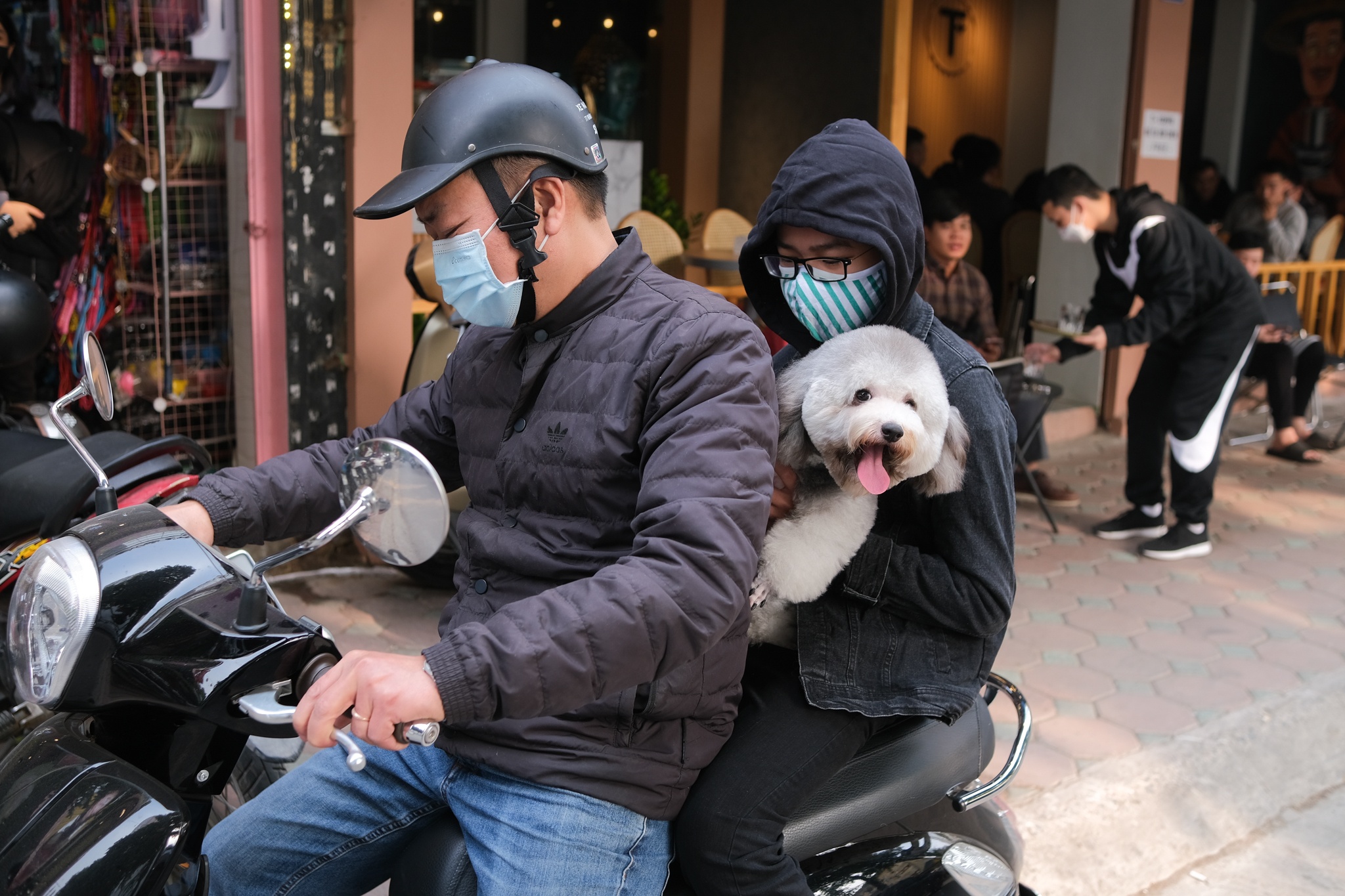 spa thu cung kin lich truoc Tet anh 3