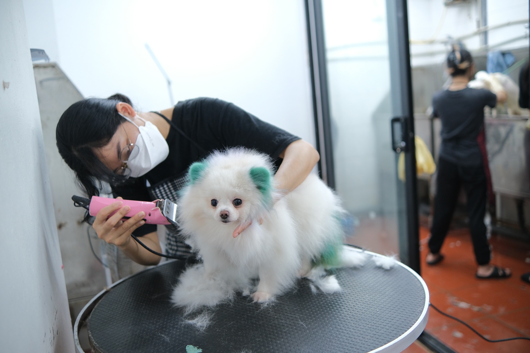 spa thu cung kin lich truoc Tet anh 2