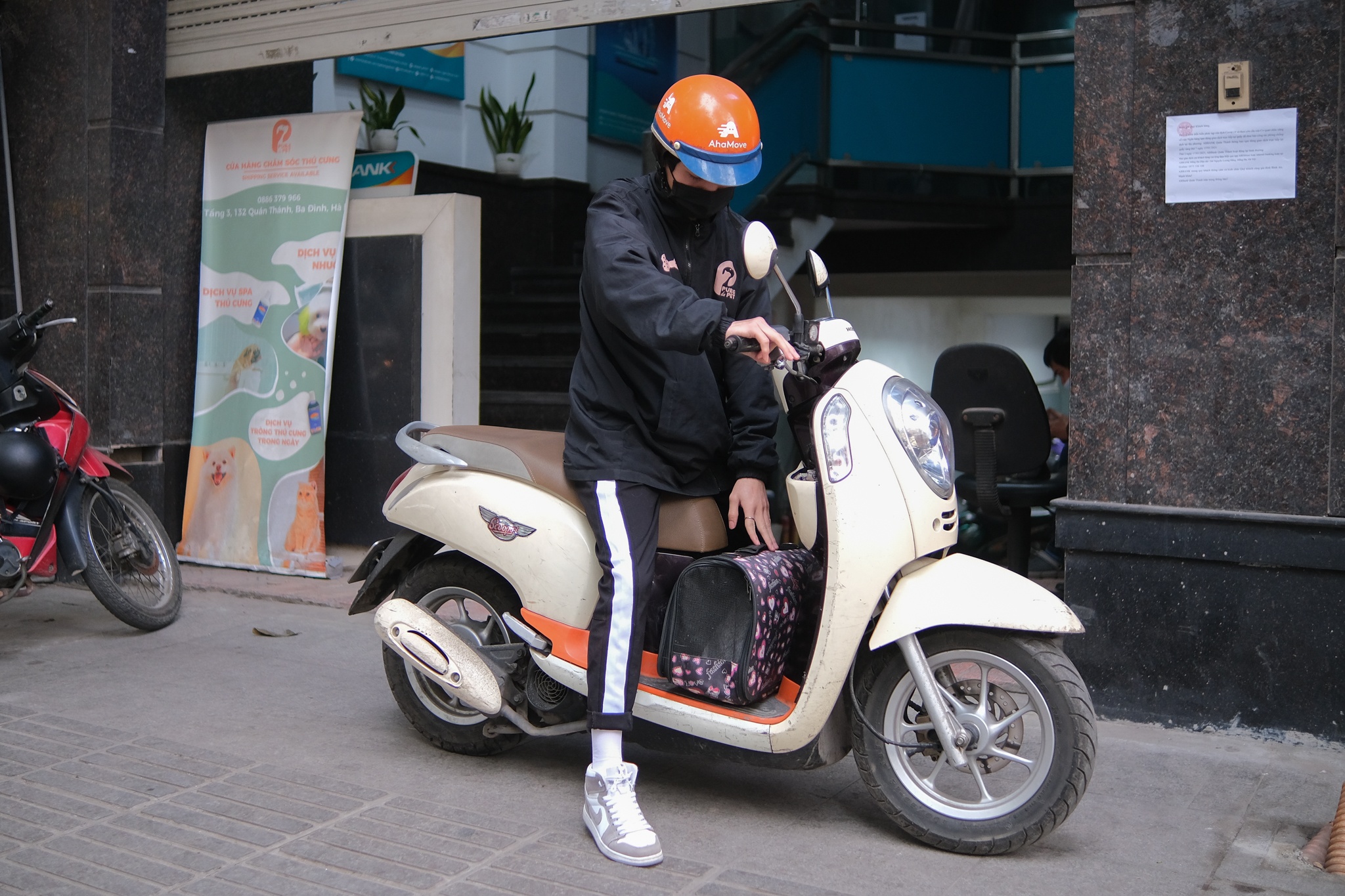 spa thu cung kin lich truoc Tet anh 9