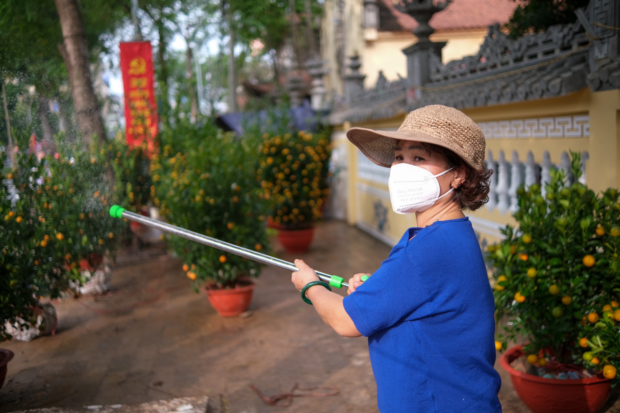 cái khó của tiểu thương bán cây cảnh Tết ảnh 9 cai kho cua tieu thuong ban cay canh Tet anh 9