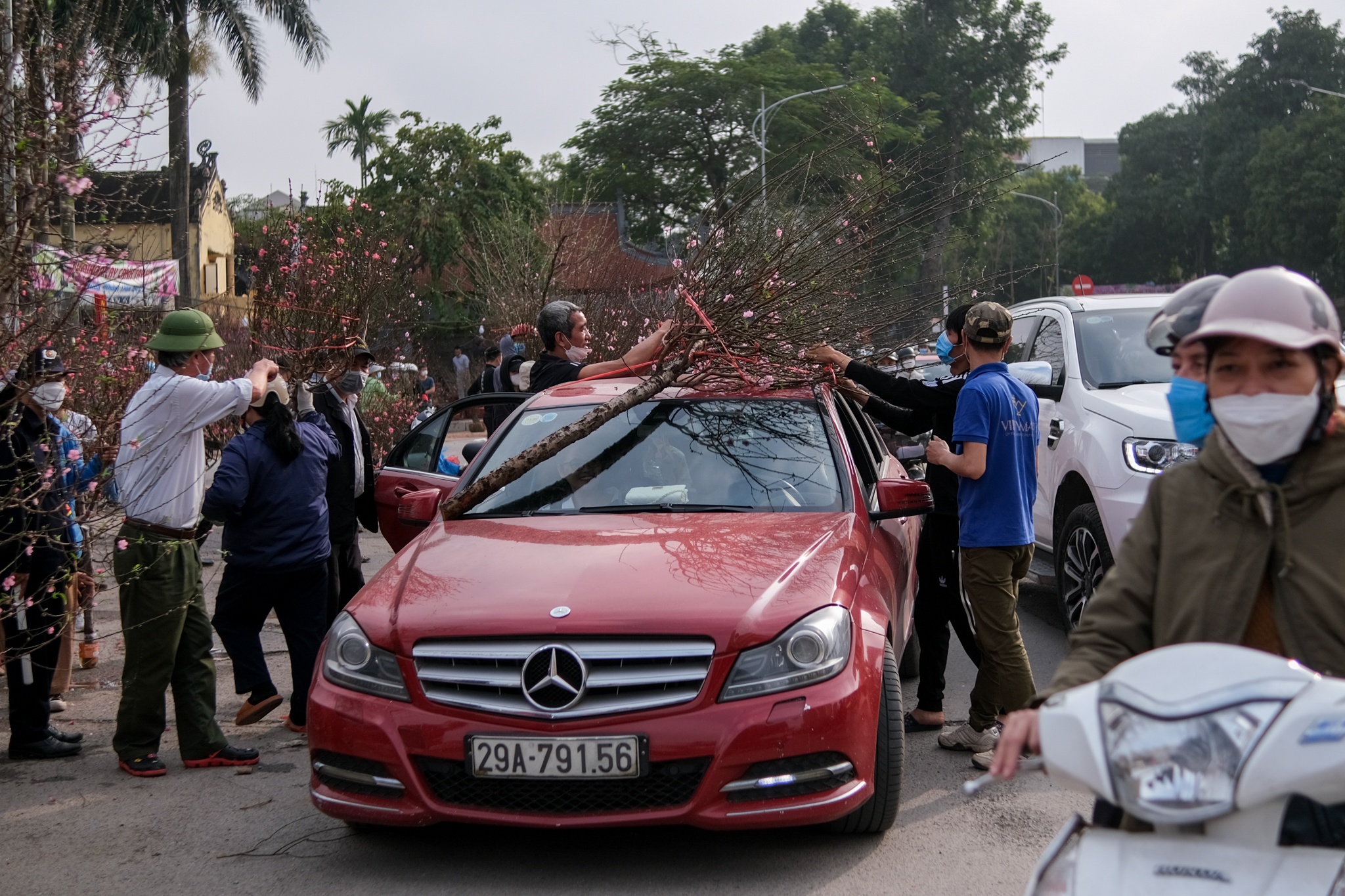 cái khó của tiểu thương bán cây cảnh Tết ảnh 5 cai kho cua tieu thuong ban cay canh Tet anh 5
