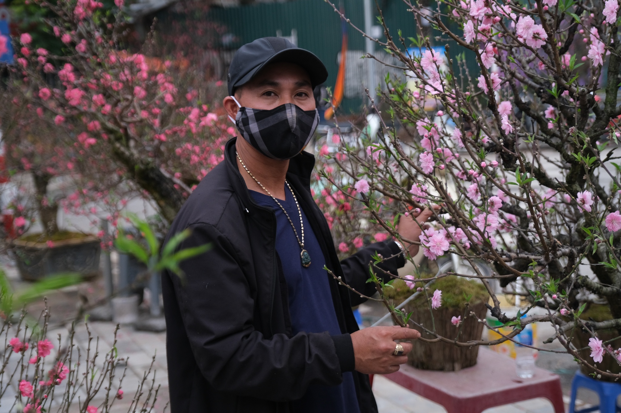 cái khó của tiểu thương bán cây cảnh Tết ảnh 1 cai kho cua tieu thuong ban cay canh Tet anh 1