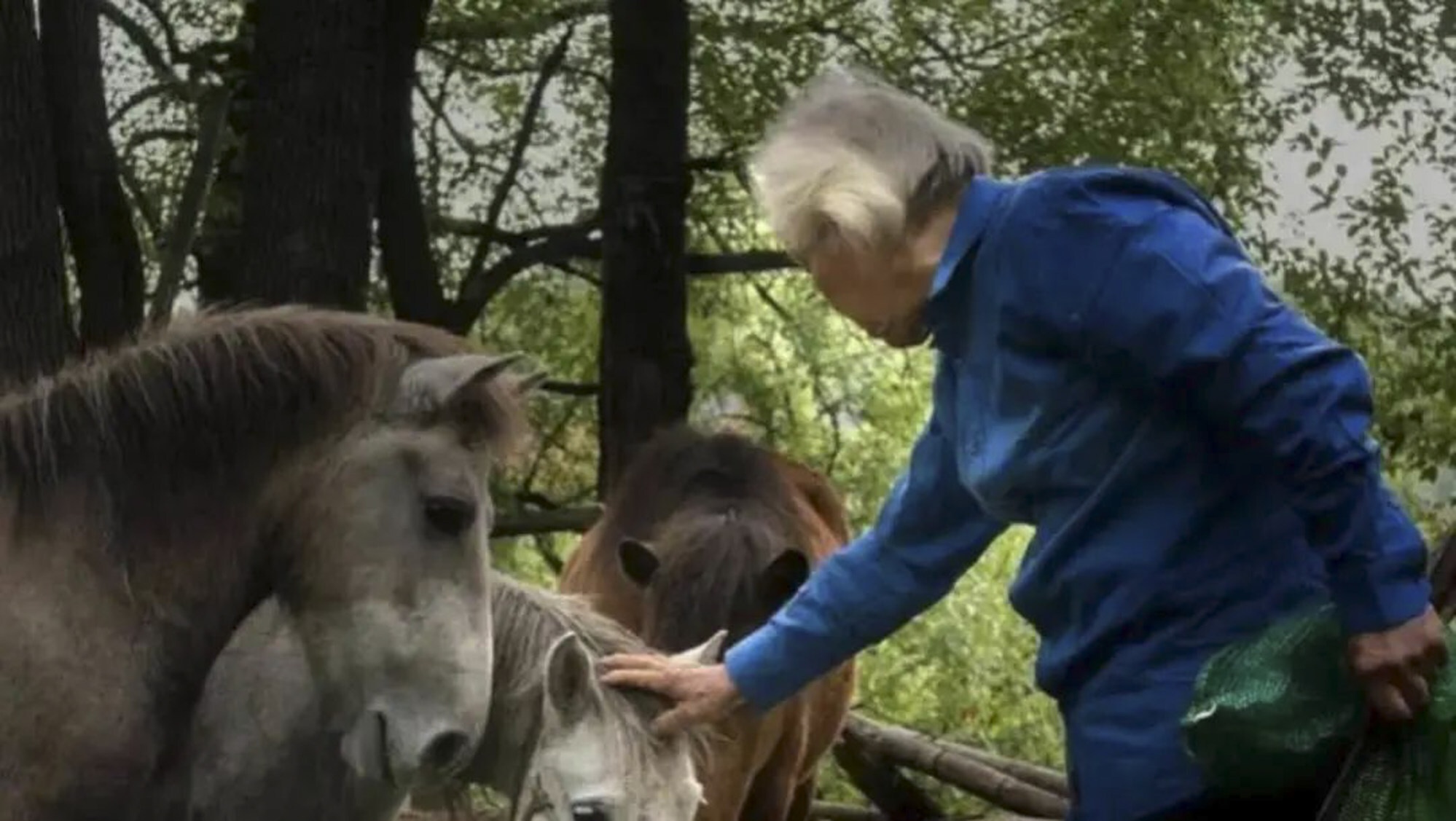 vuon thu co quanh nhat the gioi anh 4