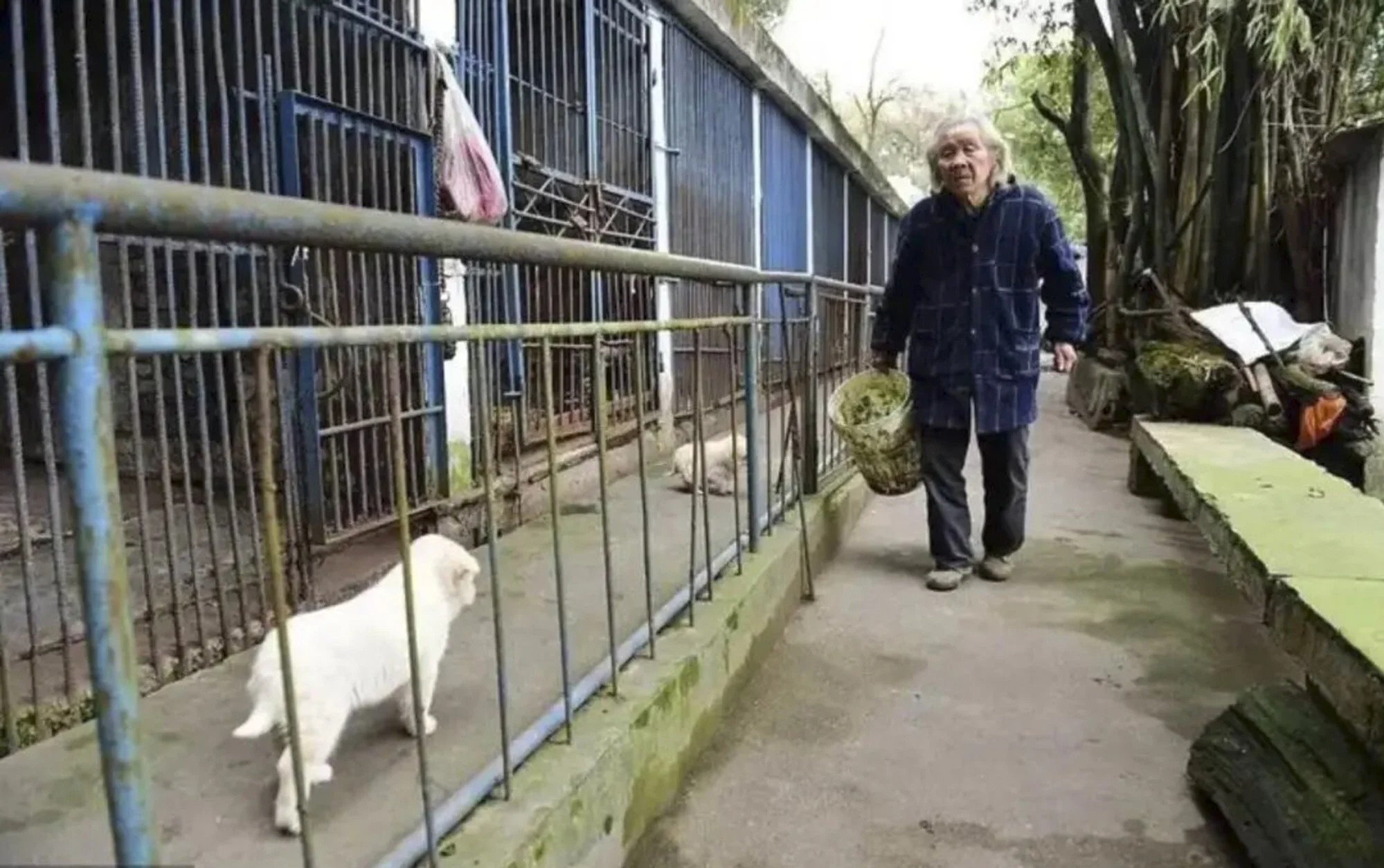 vuon thu co quanh nhat the gioi anh 3