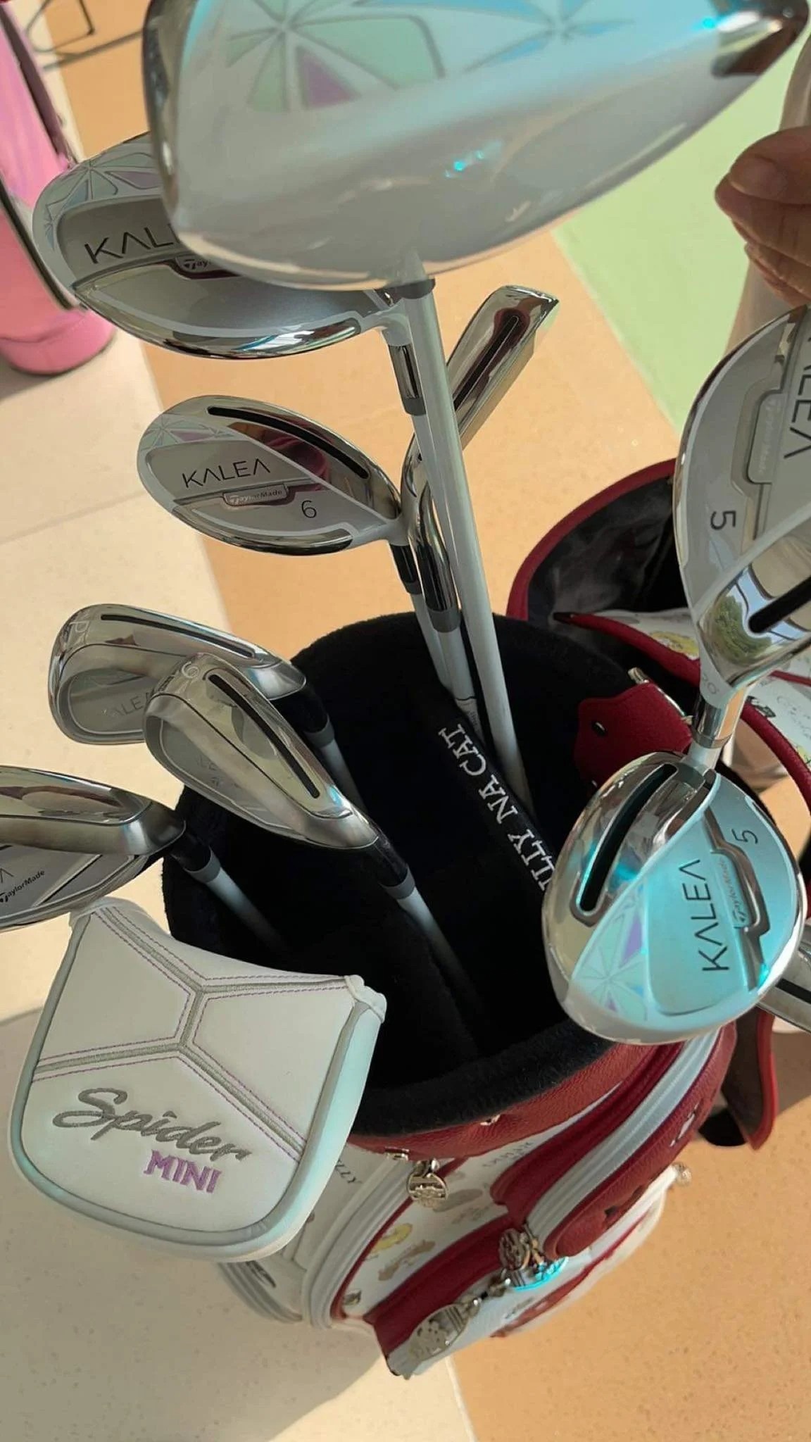 chi ca tram trieu dong de nhap mon golf anh 3