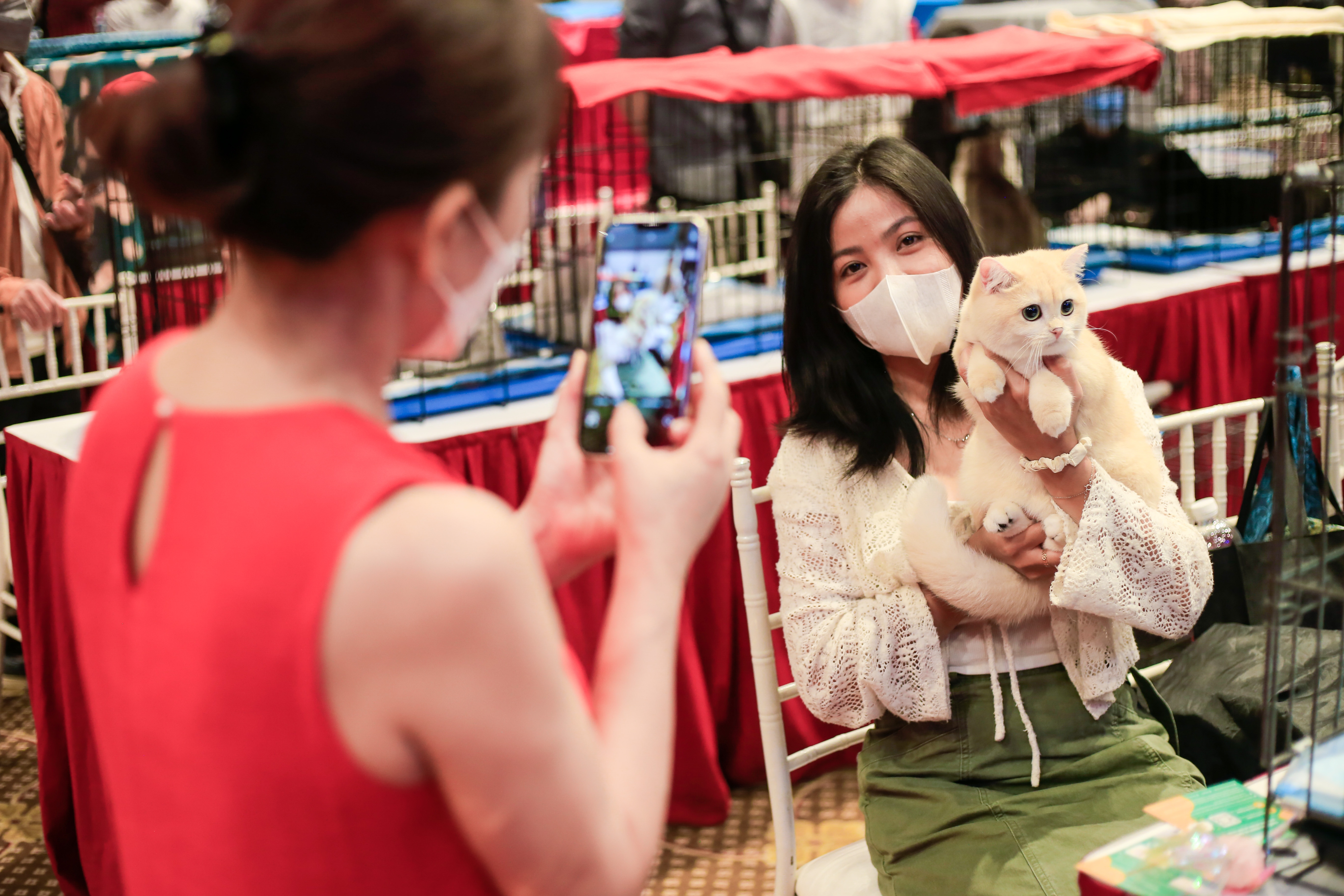 dua meo tri gia 200 trieu dong tham gia 'thi hoa hau' anh 4