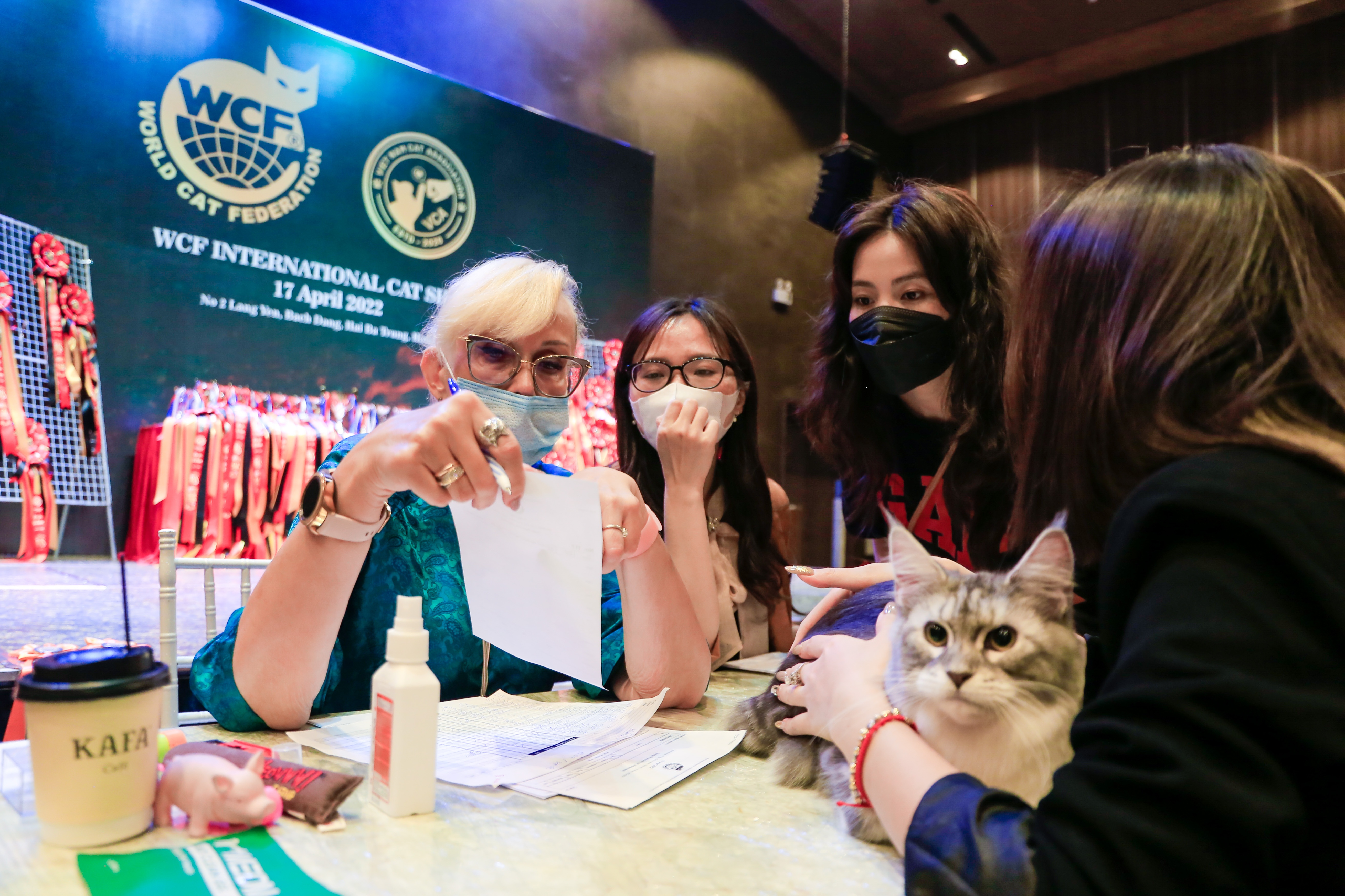 dua meo tri gia 200 trieu dong tham gia 'thi hoa hau' anh 13