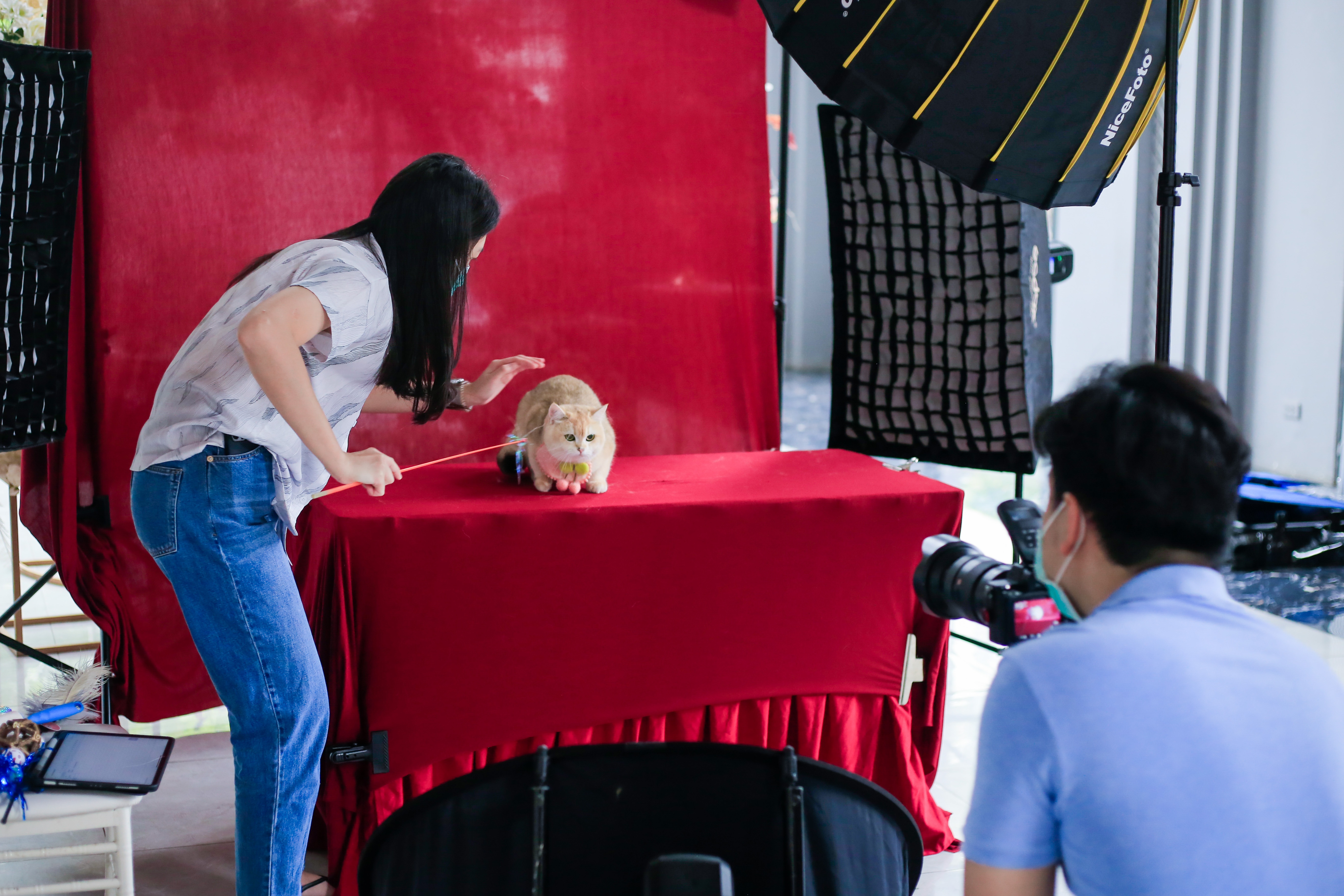 dua meo tri gia 200 trieu dong tham gia 'thi hoa hau' anh 12