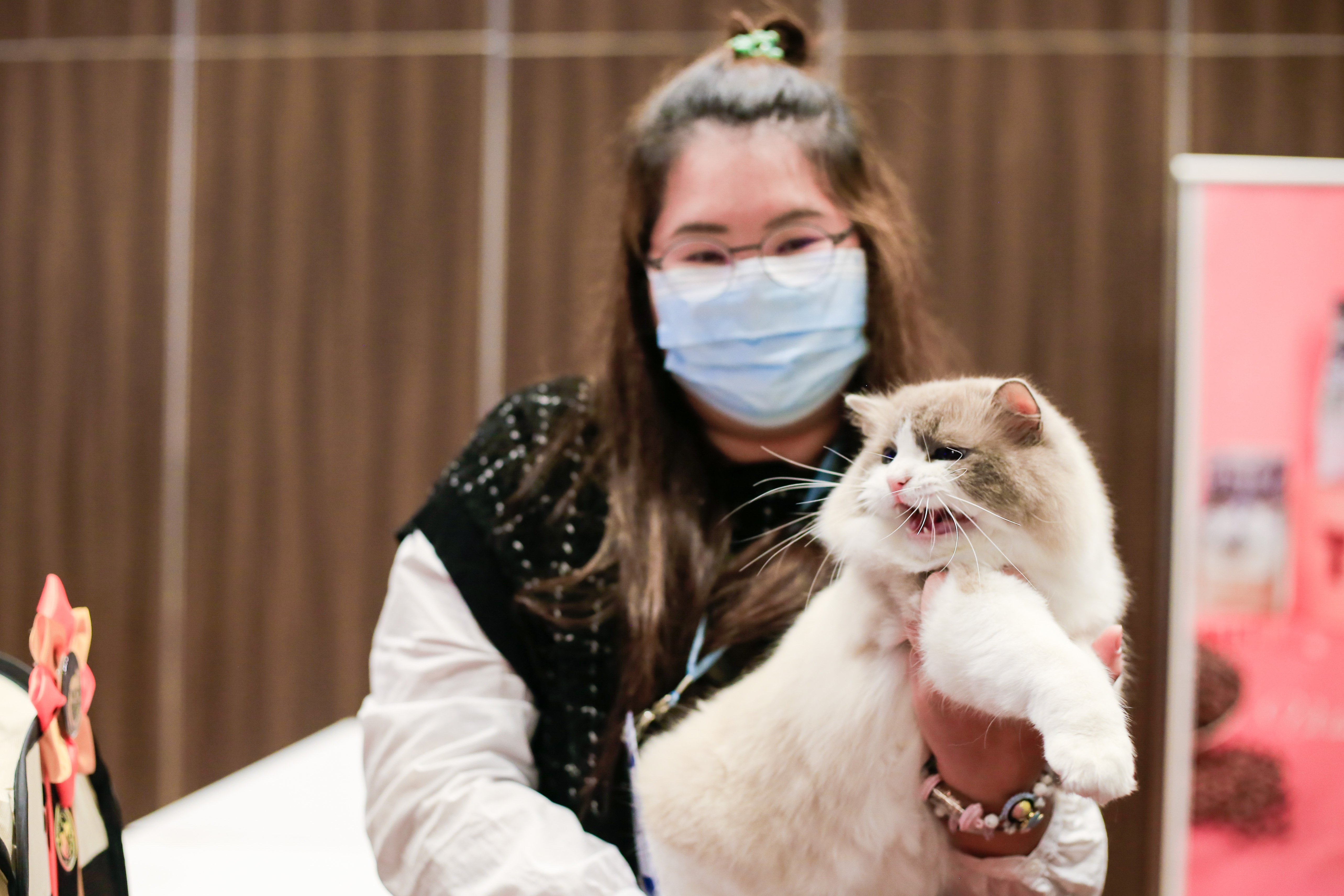 dua meo tri gia 200 trieu dong tham gia 'thi hoa hau' anh 10