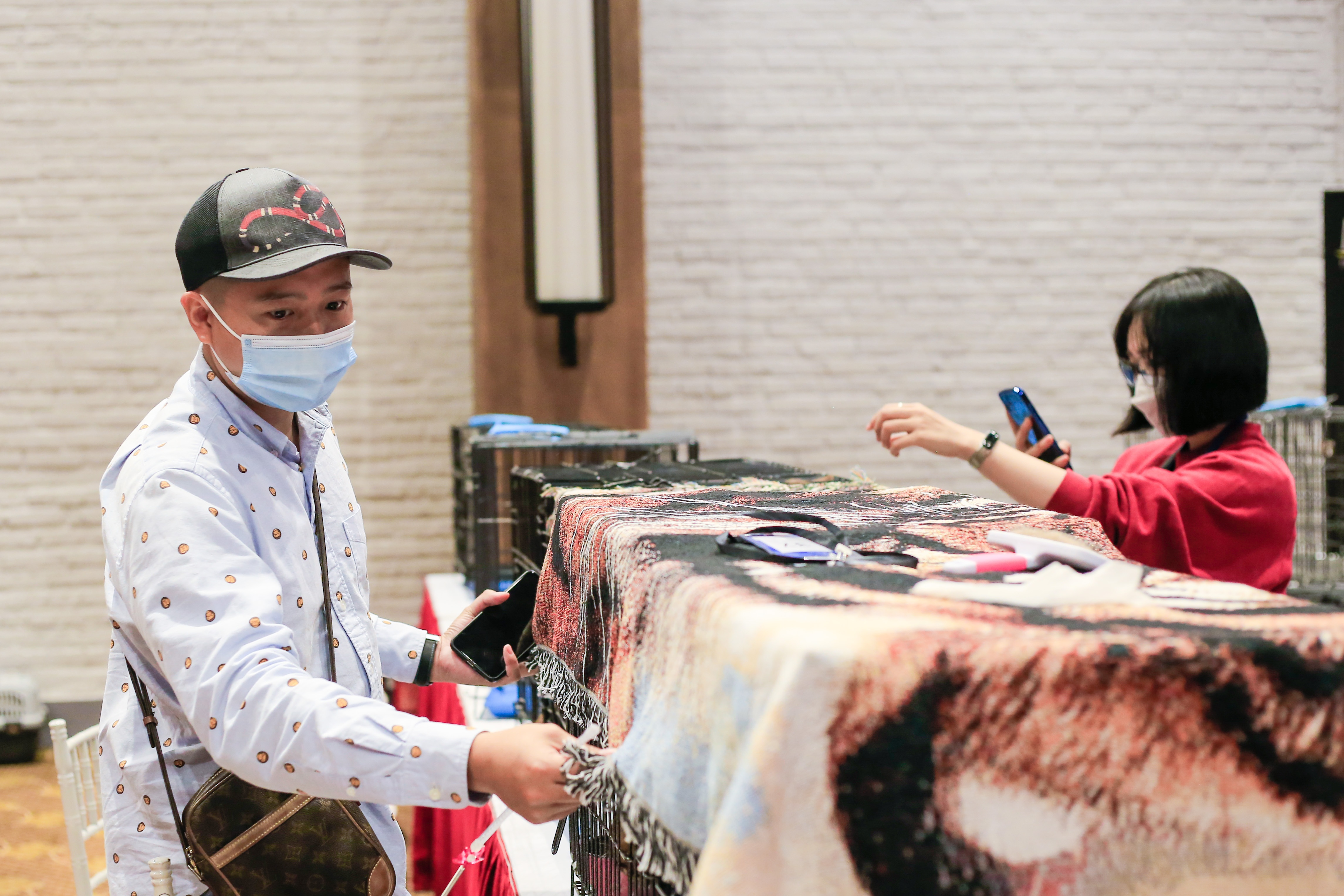 dua meo tri gia 200 trieu dong tham gia 'thi hoa hau' anh 5