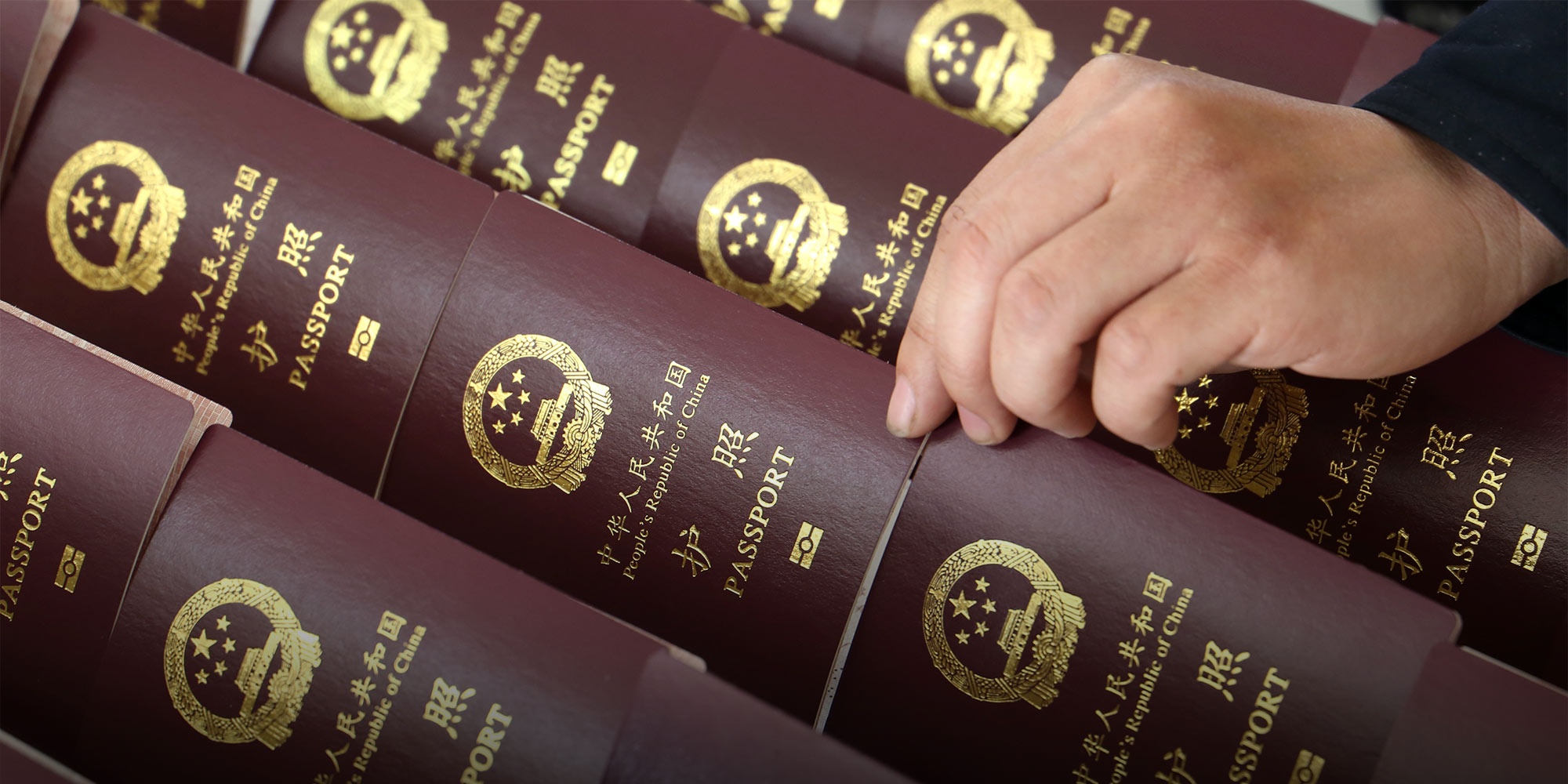 lam gia giay to de cap ho chieu anh 2