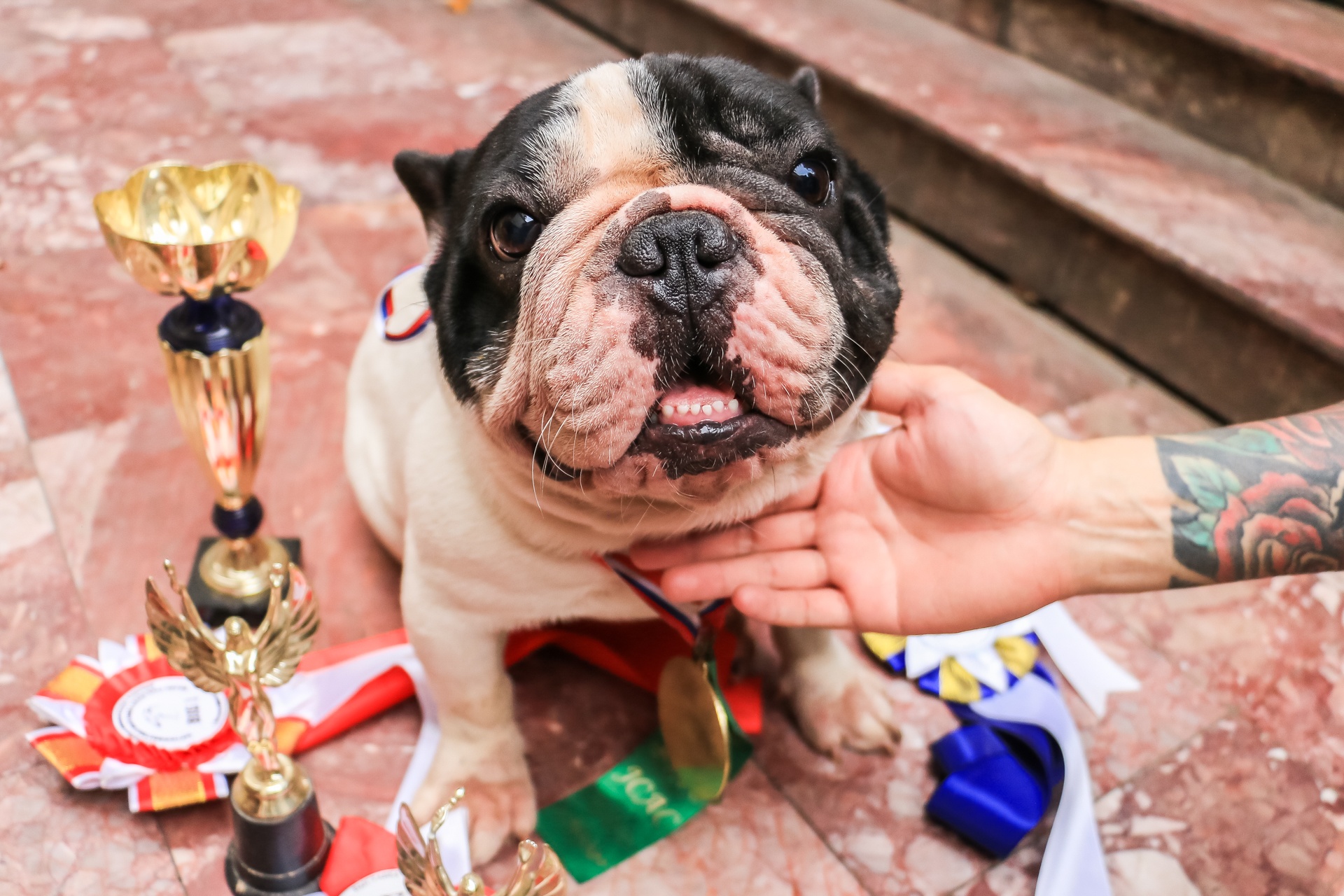 thu tien ty tu nghe nhan giong cho thuan chung anh 2