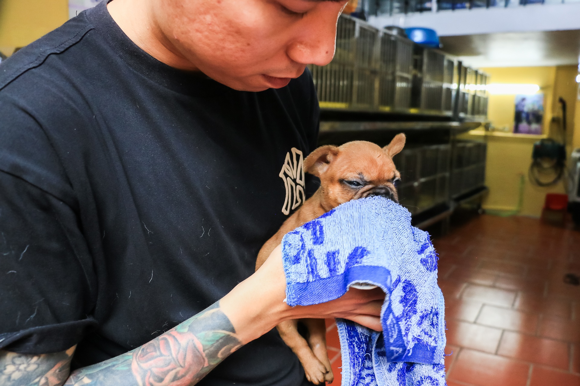 thu tien ty tu nghe nhan giong cho thuan chung anh 5