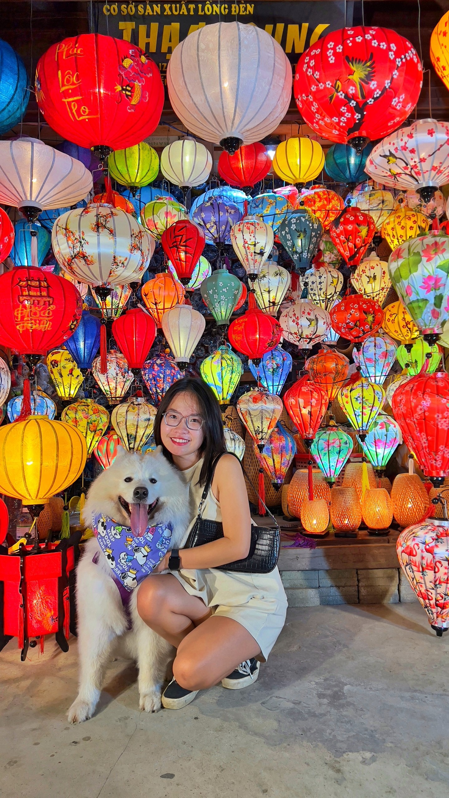 đưa thú cưng đi du lịch ảnh 2 dua thu cung di du lich anh 2