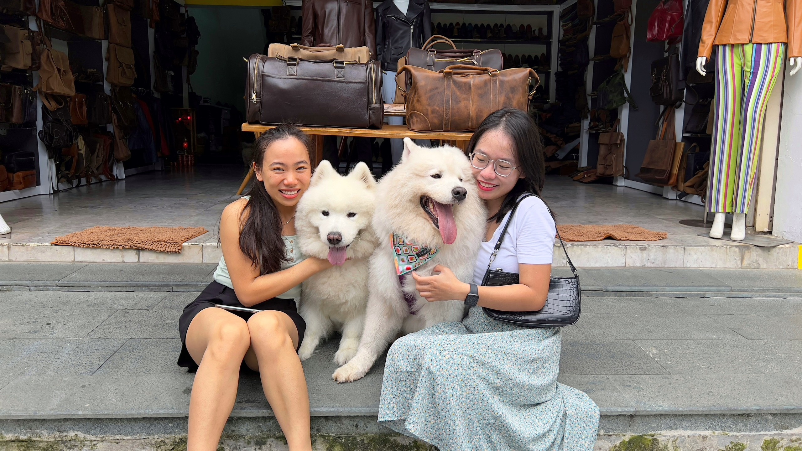 dua thu cung di du lich anh 4