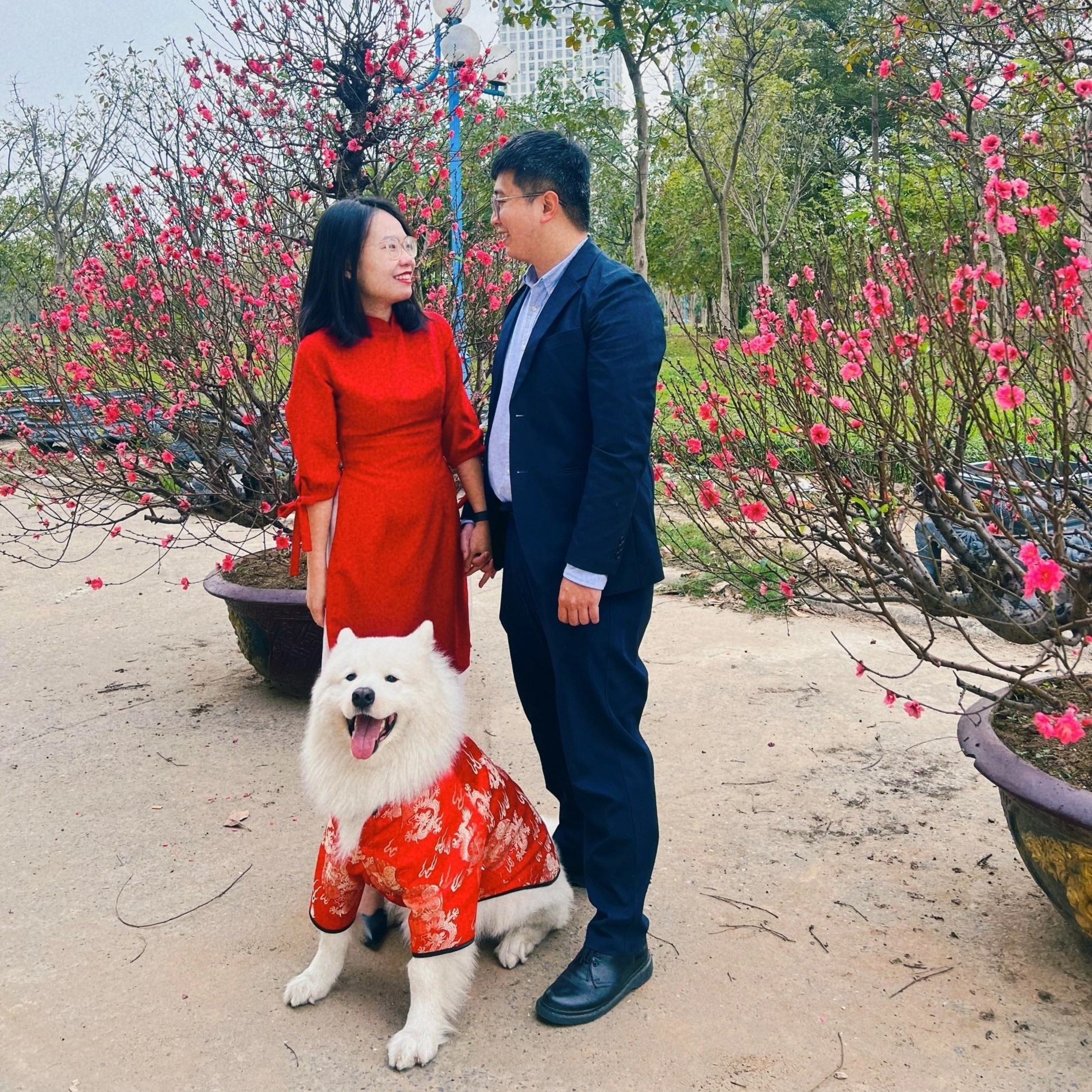 nuôi chó  ảnh 2 nuoi cho anh 2