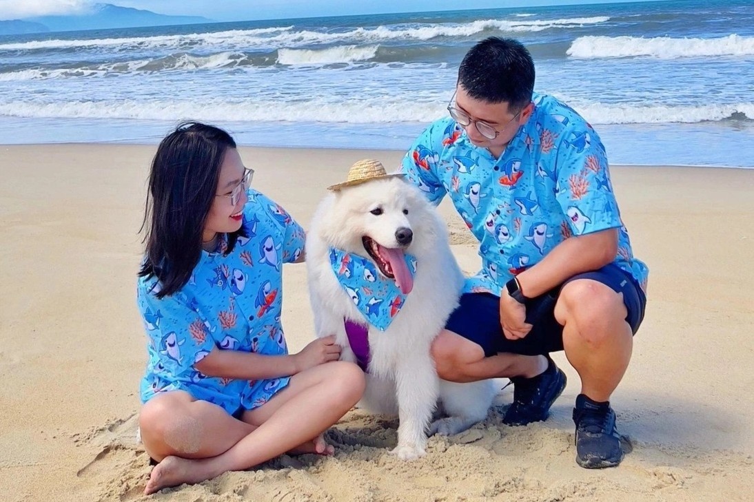 Gui cho di nha tre, cho meo nam dieu hoa ca ngay hinh anh