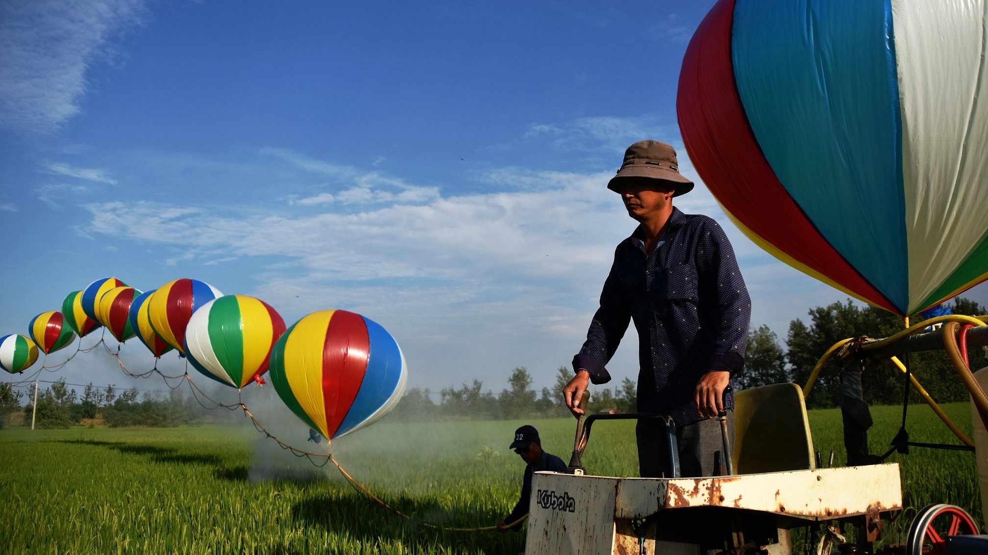 khinh khí cầu ảnh 2 khinh khi cau anh 2