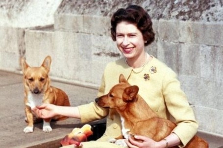 Ai la nguoi cham soc bay corgi cua co Nu hoang Anh hinh anh