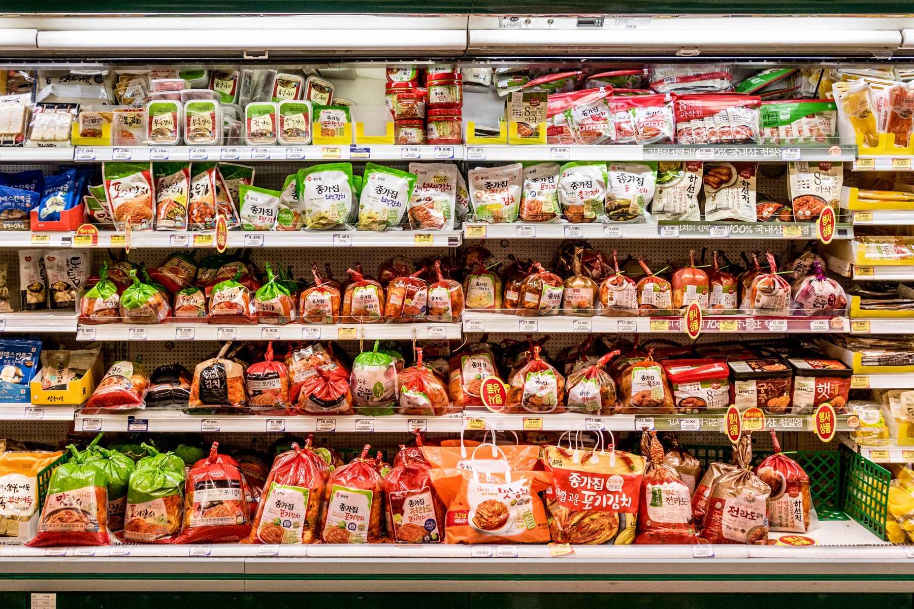 khung hoang kim chi anh 2