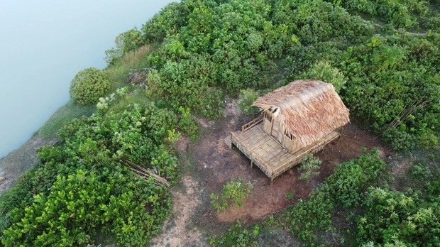 bỏ phố về rừng ảnh 1 bo pho ve rung anh 1