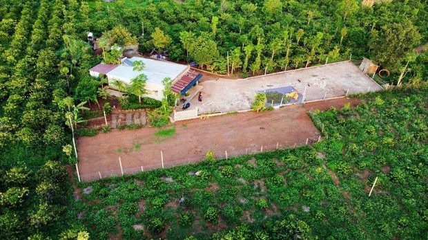 bỏ phố về rừng ảnh 4 bo pho ve rung anh 4