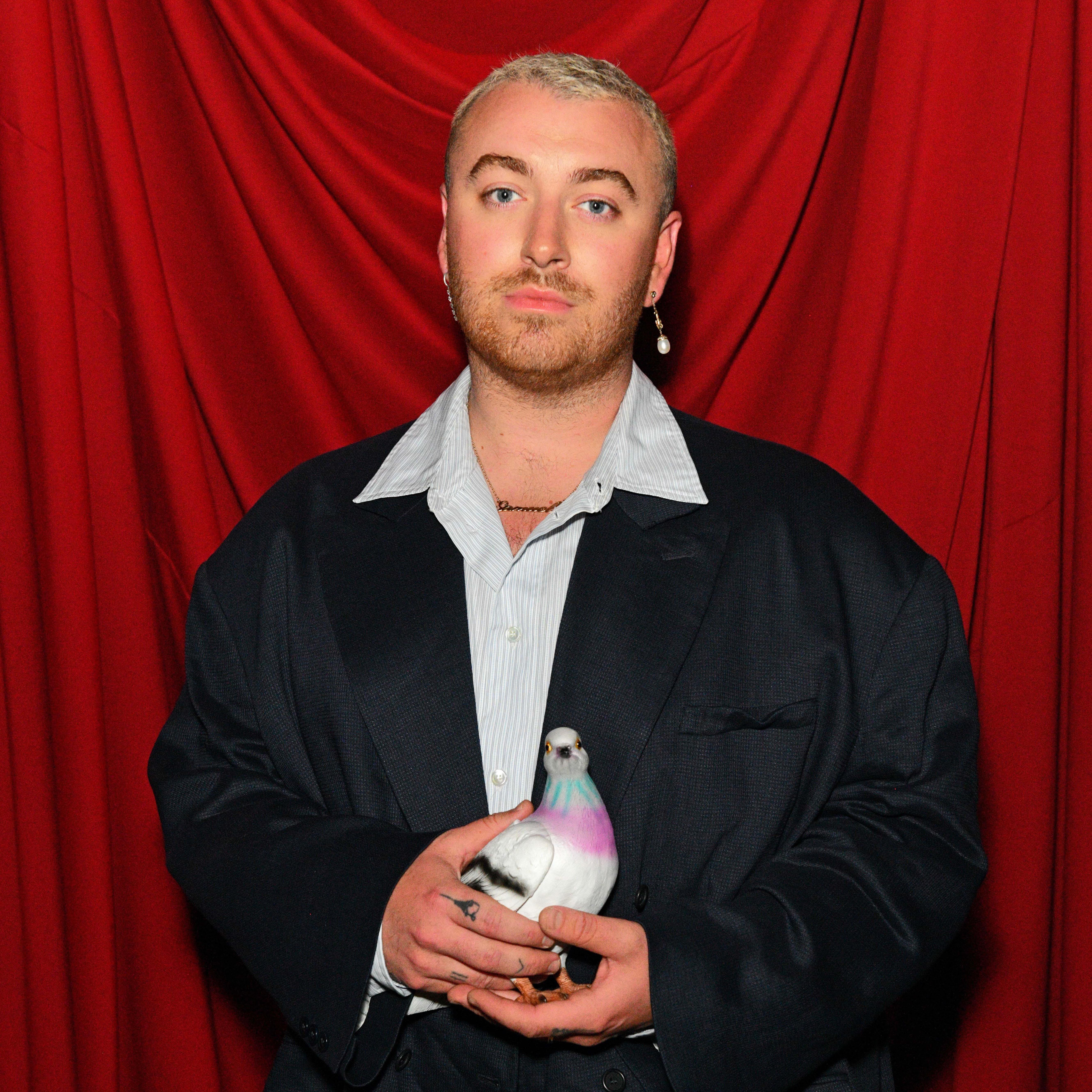 tui xach chim bo cau anh 1