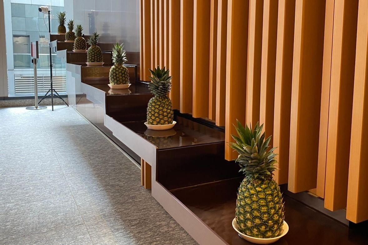 Xep 7 qua dua quanh van phong nham thay doi phong thuy hinh anh