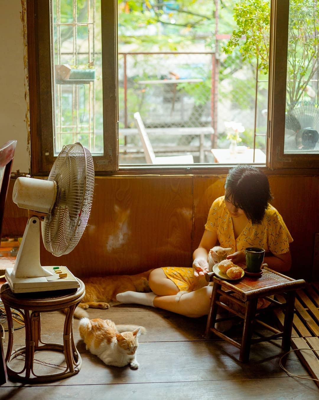 cà phê ảnh 3 ca phe anh 3