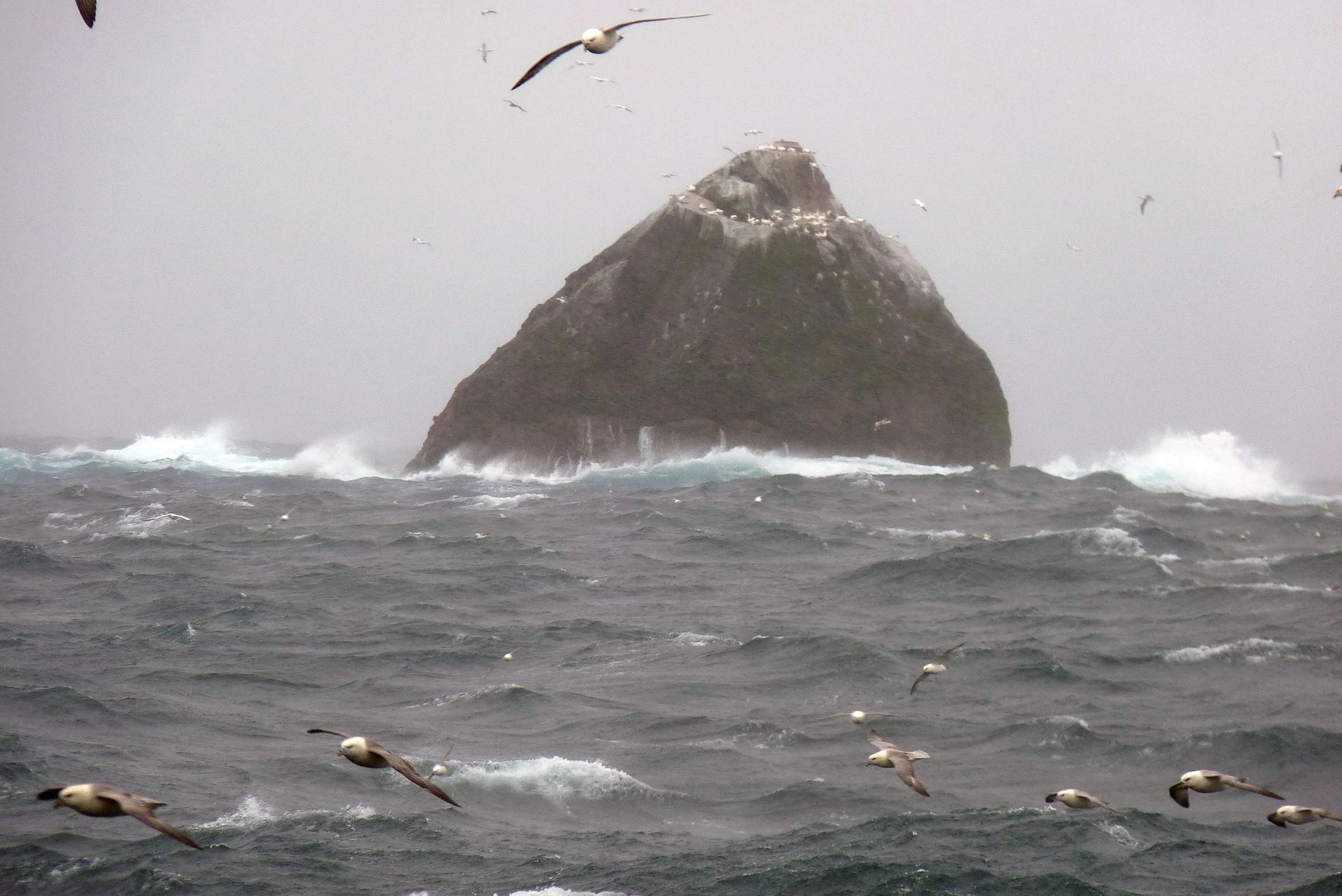 song tren dao hoang anh 1