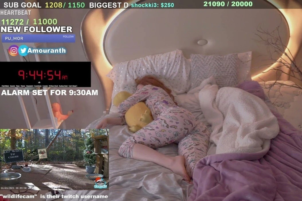 streamer kiem tien khi ngu anh 1