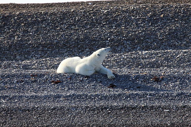 Du lich Sao Hoa tren Trai Dat anh 9
