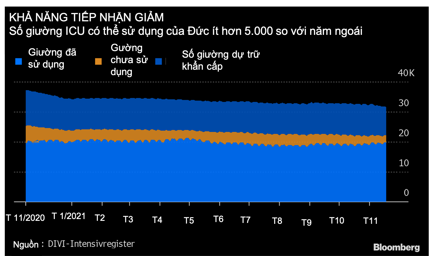 dich Covid-19 o Duc anh 2