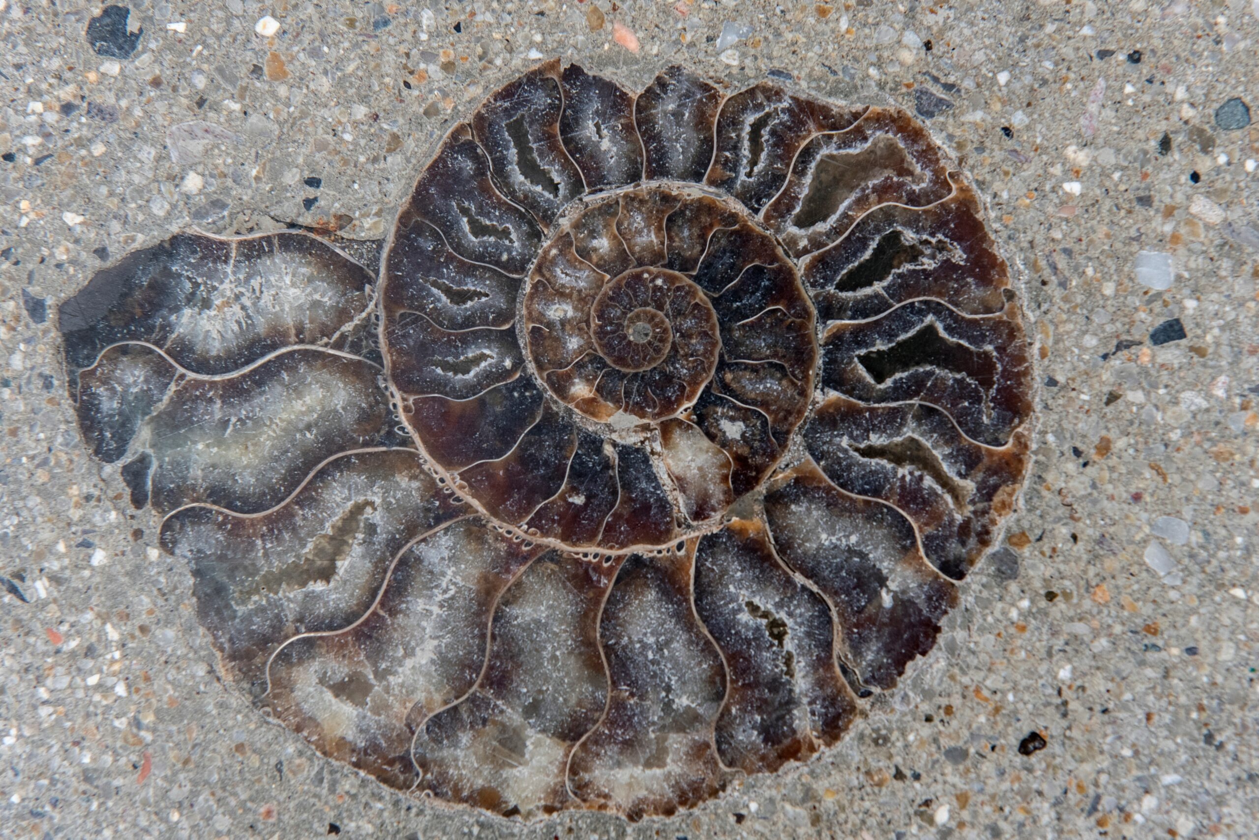 Hoa thach 66 trieu nam tuoi ngoai trung tam thuong mai tai Bangkok hinh anh