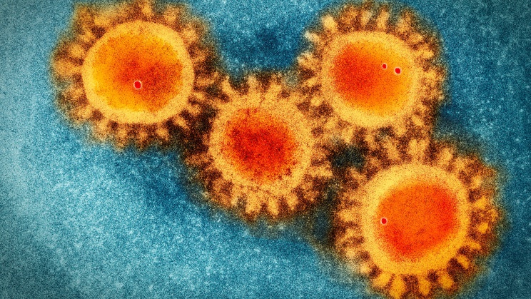 Phat hien moi ve bien chung Omicron hinh anh