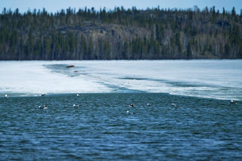 bien doi khi hau anh 1