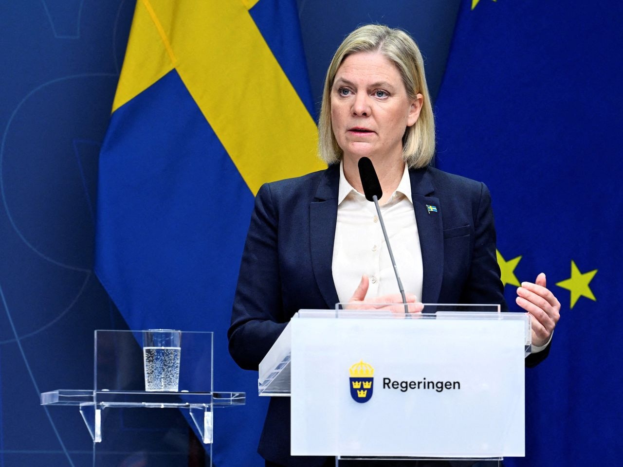 Thuy Dien xin gia nhap NATO anh 1