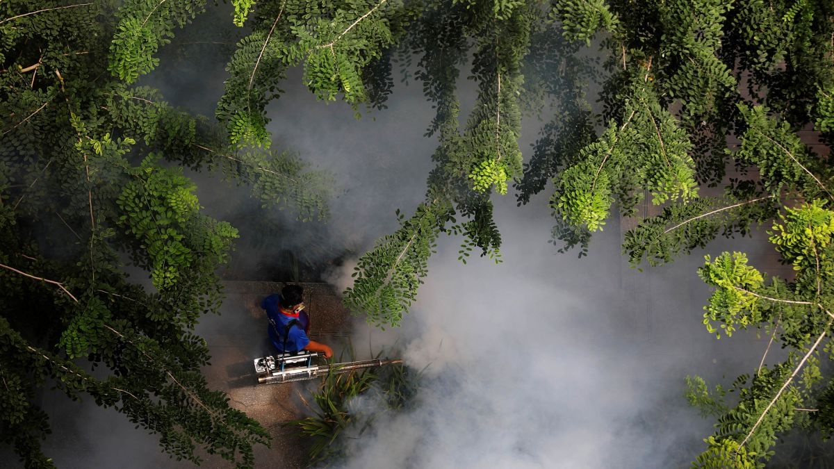 Loi canh bao cho the gioi tu dich sot xuat huyet cua Singapore hinh anh