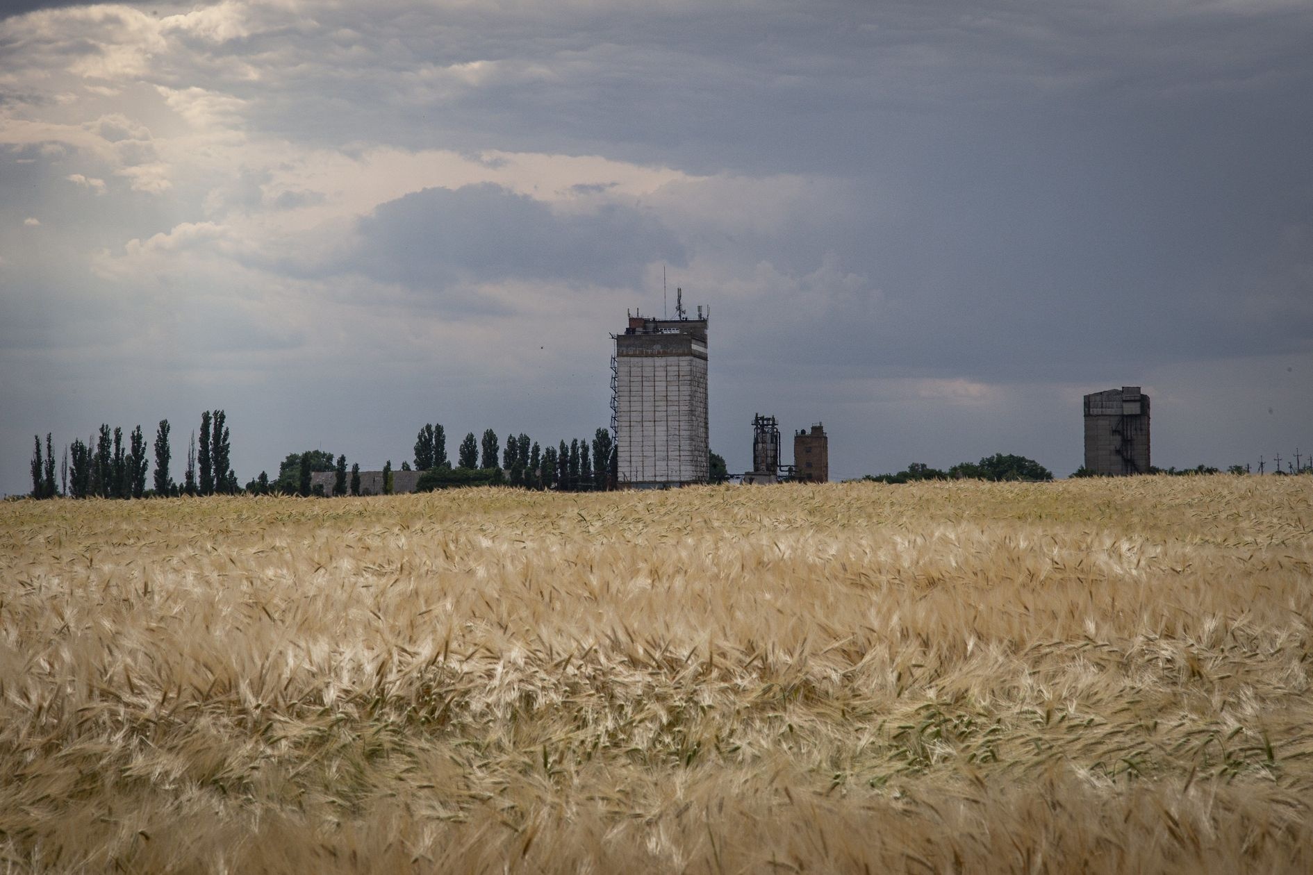 xung dot giua Nga va Ukraine anh 3